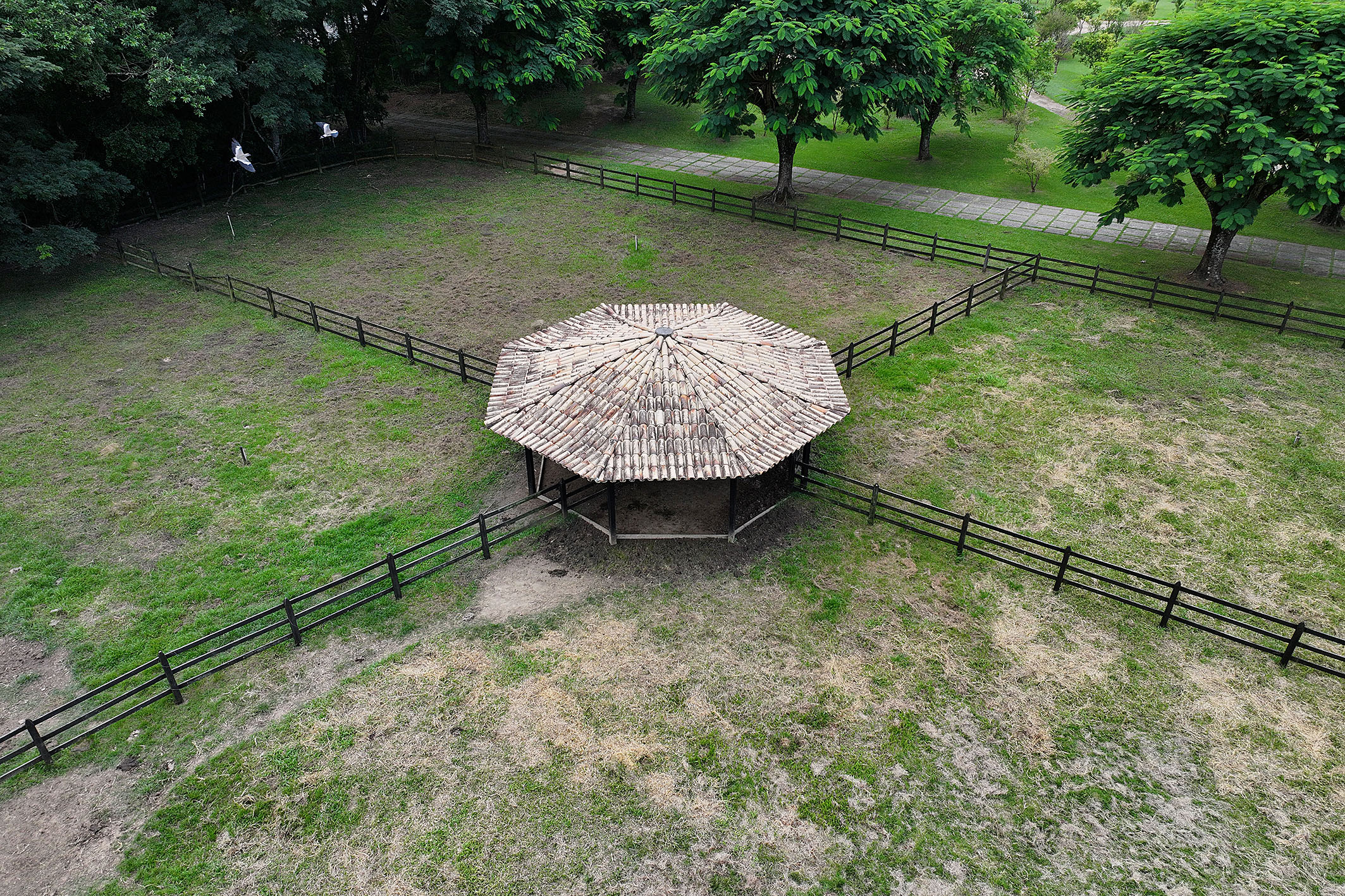  Renovated Farm with an Impressive Main Residence and Complete Infrastructure - 物件實景
