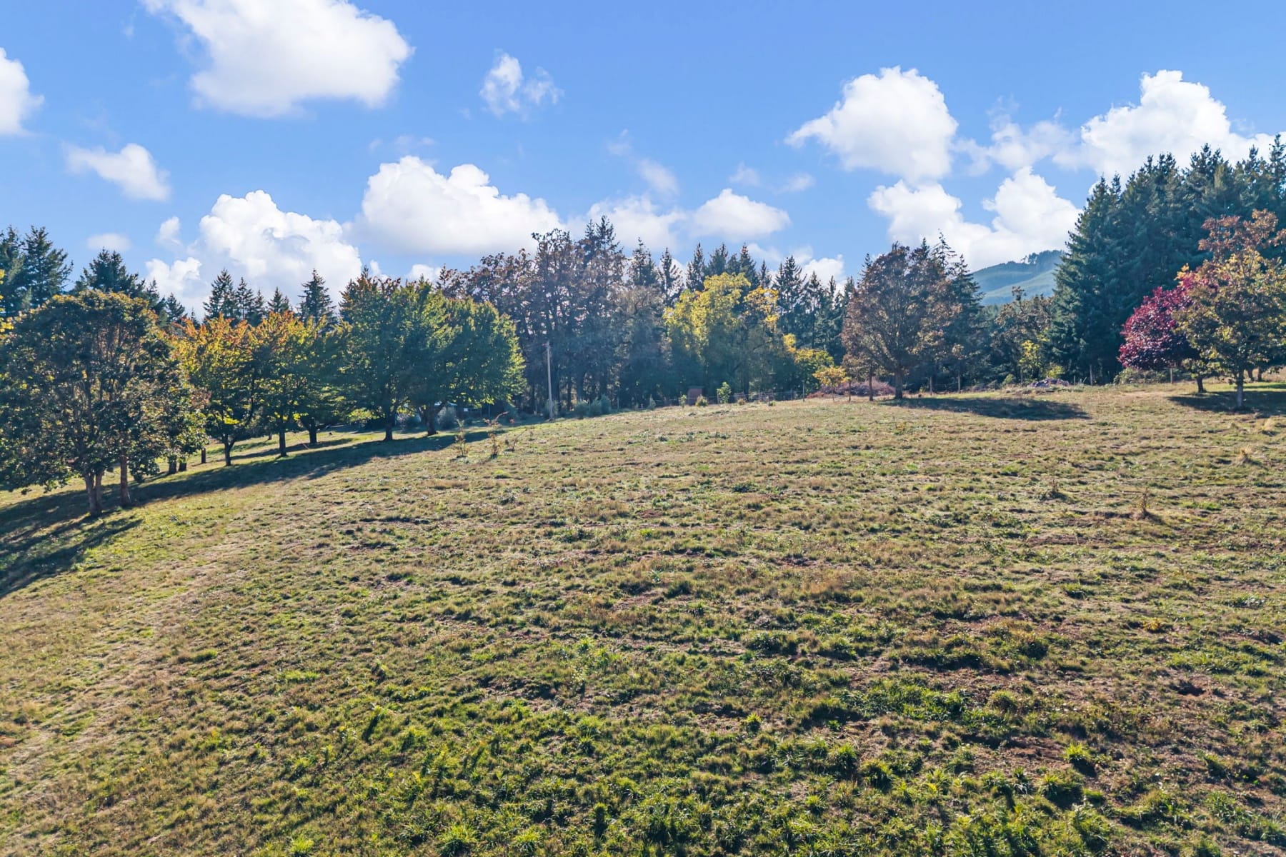  24027 HAWLEY CREEK RD Monroe, OR 97456 - 物件實景