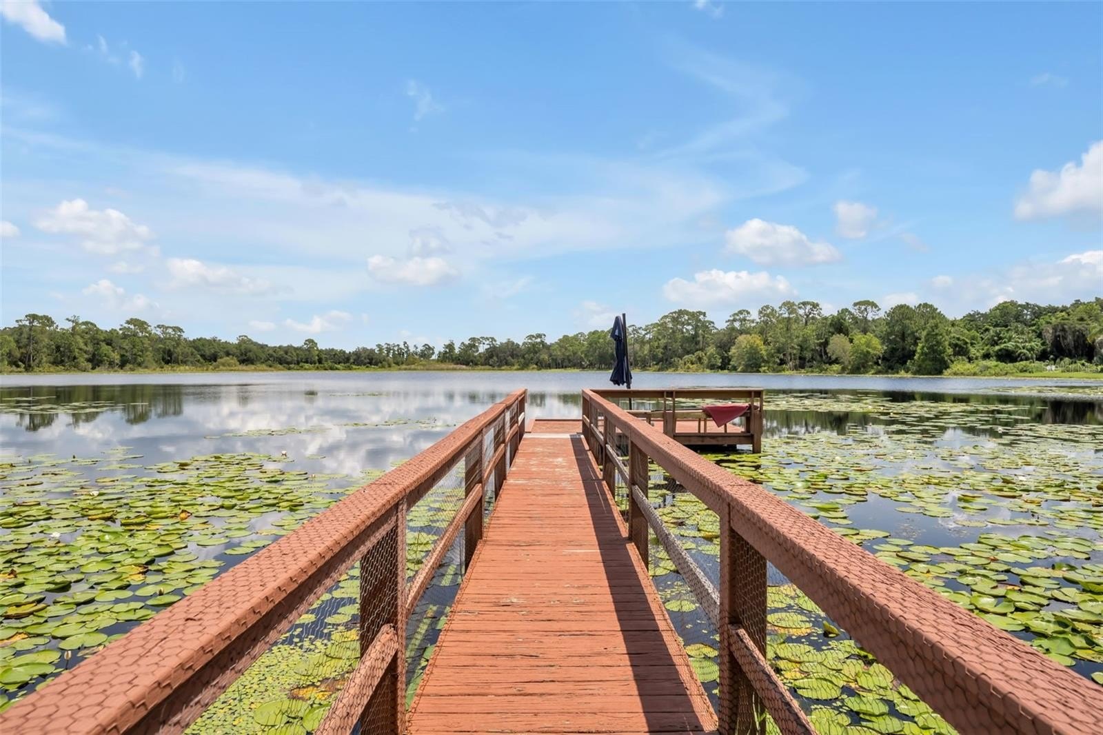 DELTONA, Florida, 32725, United States, 5 Bedrooms Bedrooms, ,3 BathroomsBathrooms,Residential,For Sale,1983219