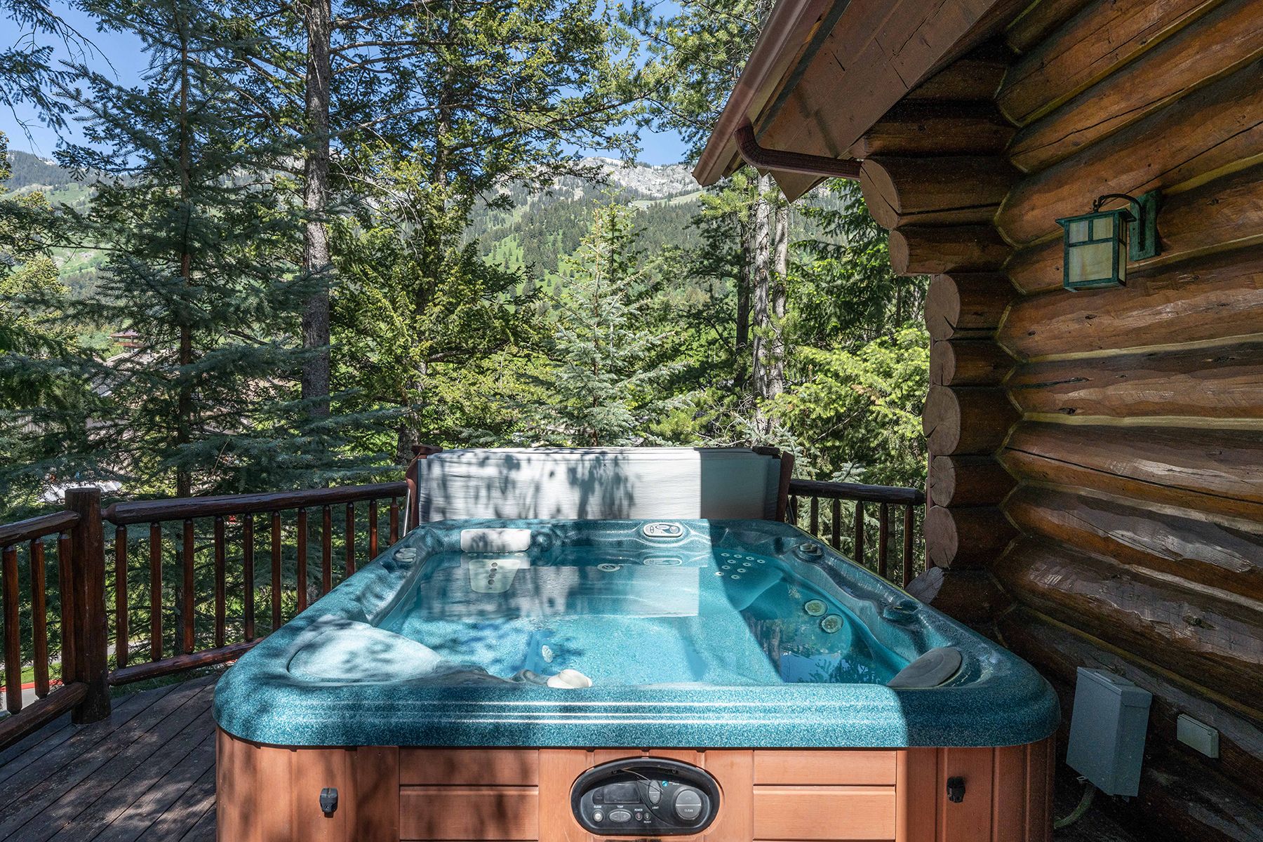  Ski-In Ski-Out Luxury Cabin  Jackson Hole Mountain Resort  Teton Village WY - 物件實景