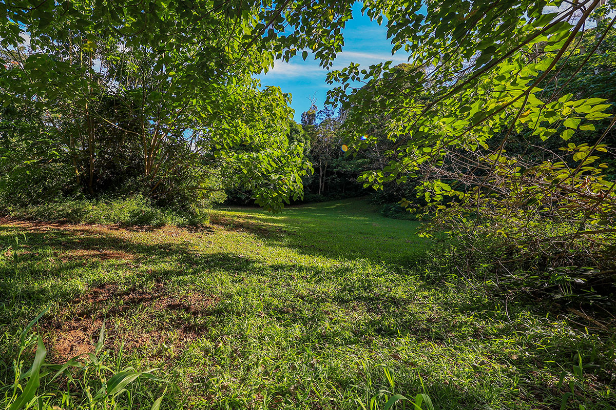 6828-B KUAMOO RD 2, Kapaa, Hawaii, 96746, United States, ,Land,For Sale,6828-B KUAMOO RD 2,1672725