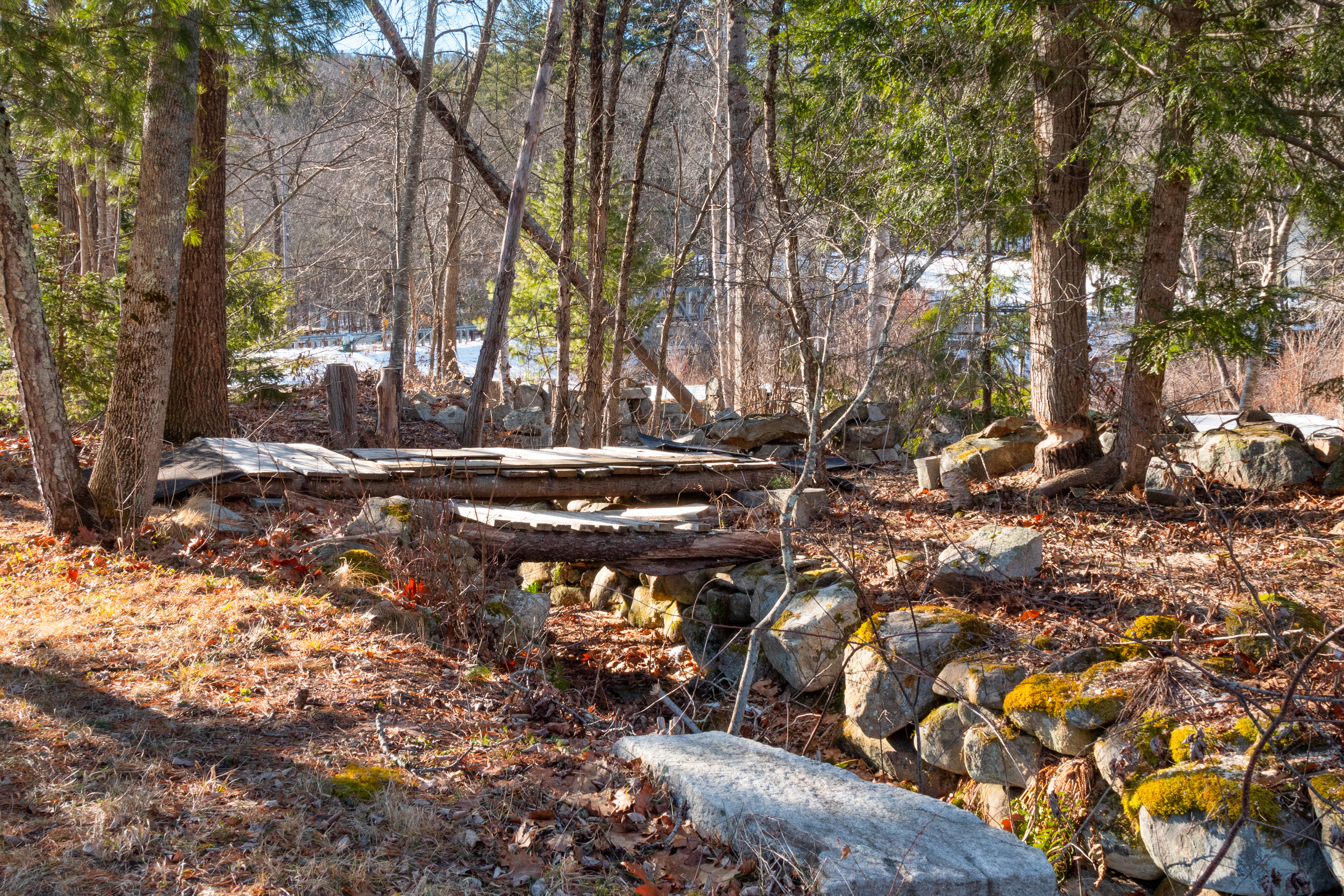  On the Wild and Scenic Farmington River, at the End of a Quiet Road, a House Ful - 物件實景