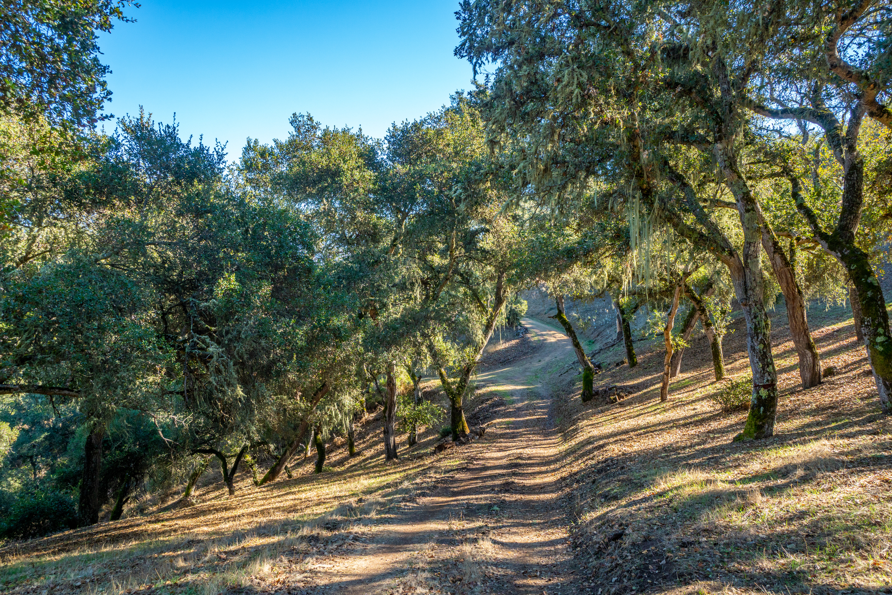  17114 Cachagua Road - 物件實景