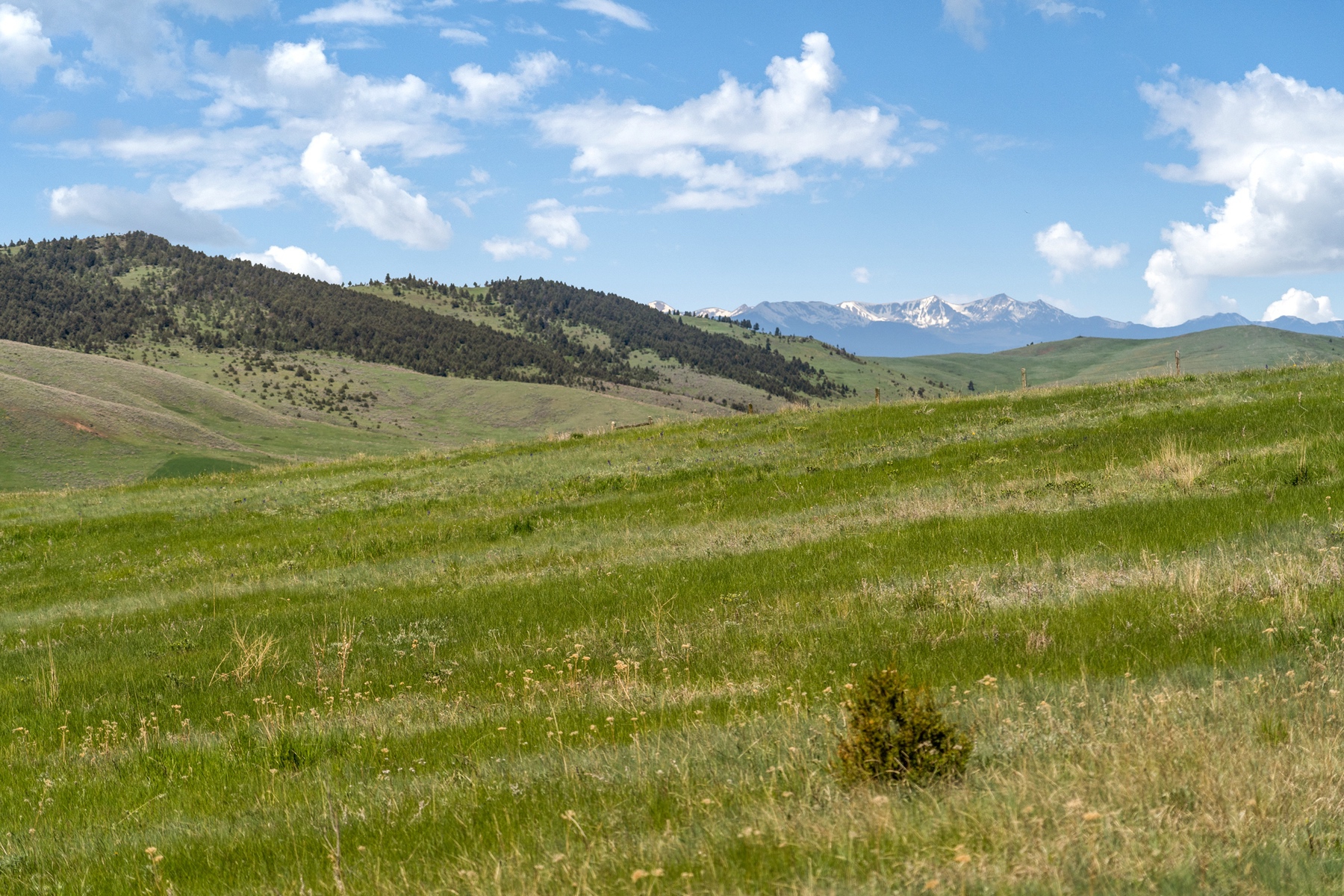  TBD Montana Ranch Tr - 物件實景