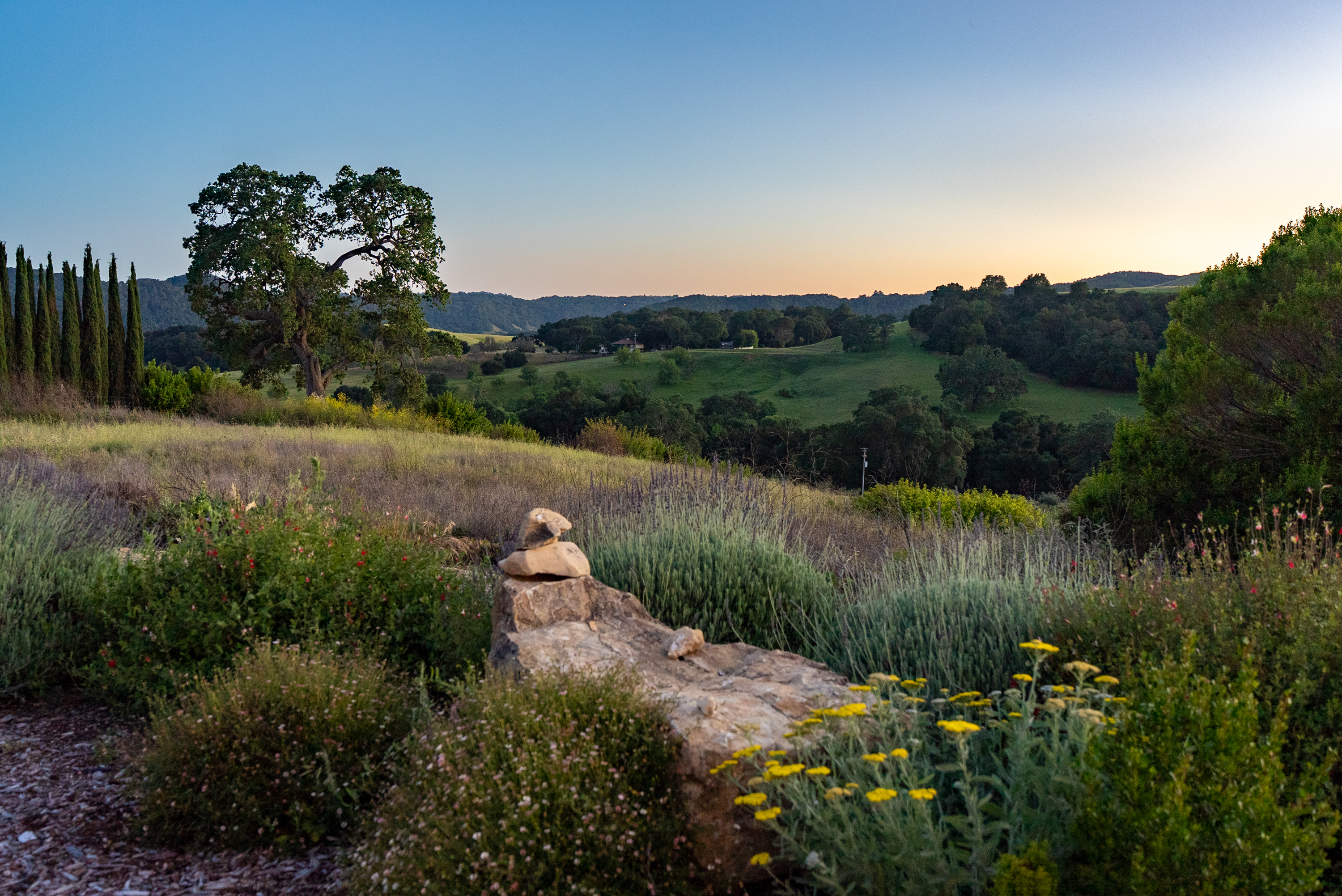  5250 & 5260 - 物件實景