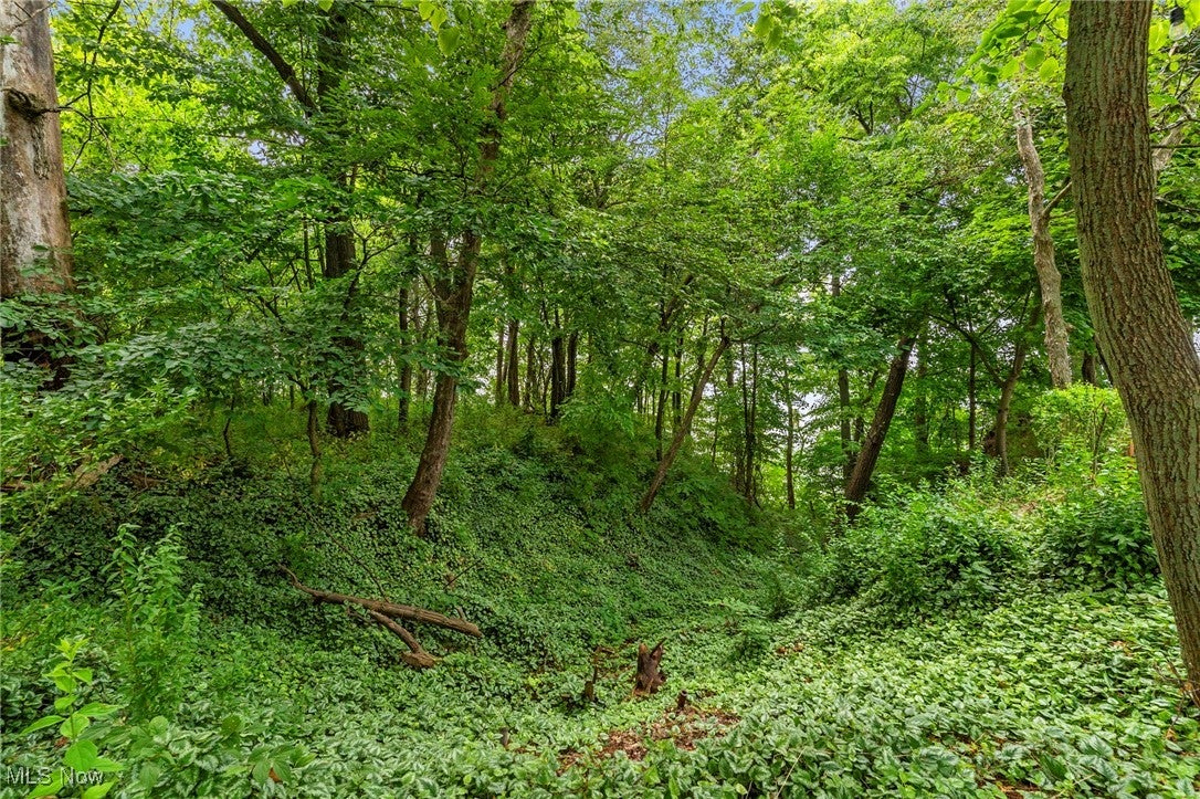 Ashtabula, Ohio, 44004, United States, ,Land,For Sale,1978320