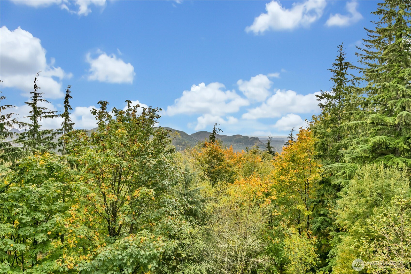 Ravensdale, Washington, 98051, United States, 3 Bedrooms Bedrooms, ,1 BathroomBathrooms,Residential,For Sale,2000526