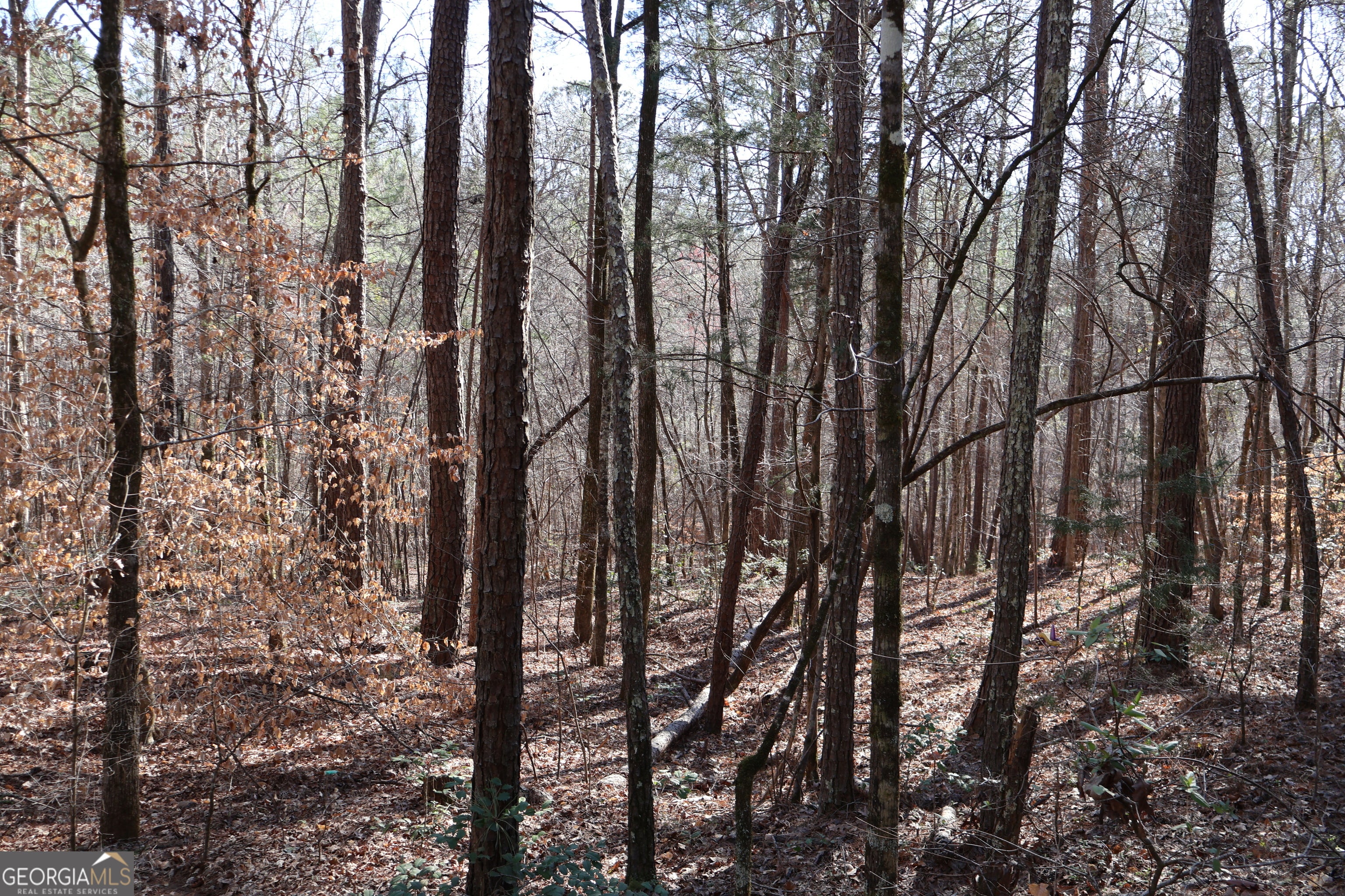 Forsyth, Georgia, 31029, United States, ,Land,For Sale,1858913