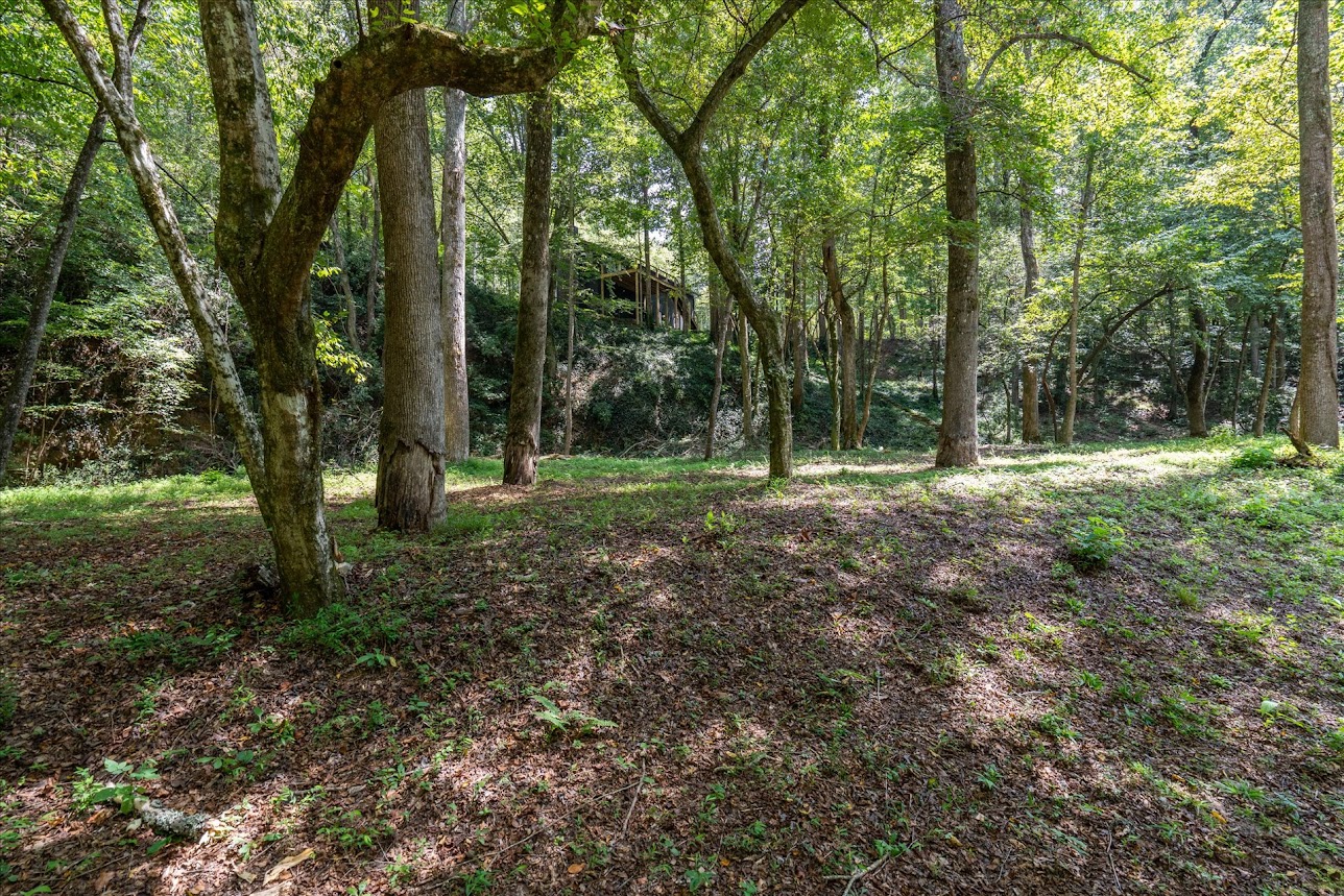 Carrollton, Georgia, 30116, United States, 4 Bedrooms Bedrooms, ,3 BathroomsBathrooms,Residential,For Sale,2005638