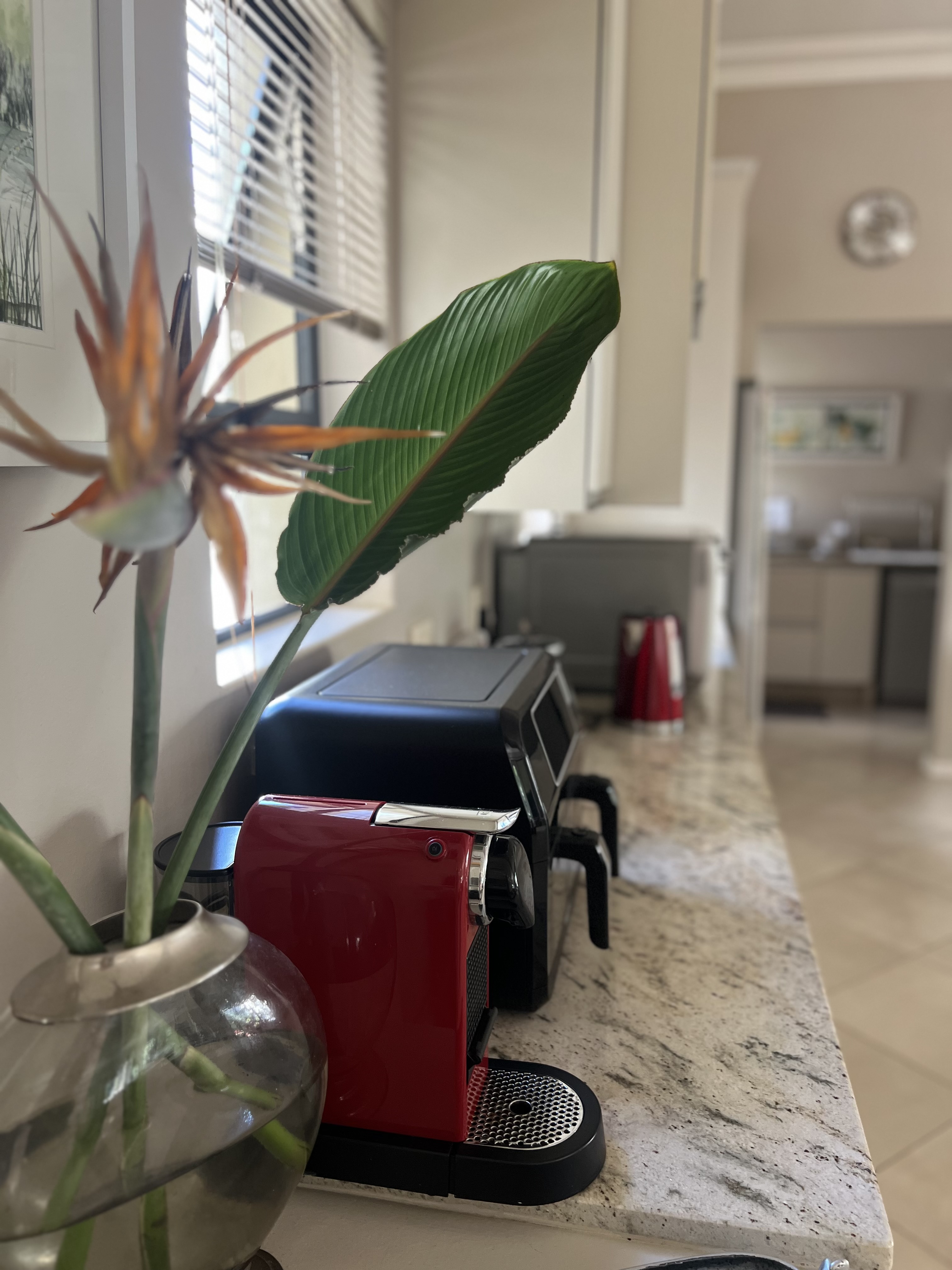  Meticulously maintained home with thoughtfully curated living spaces - 物件實景