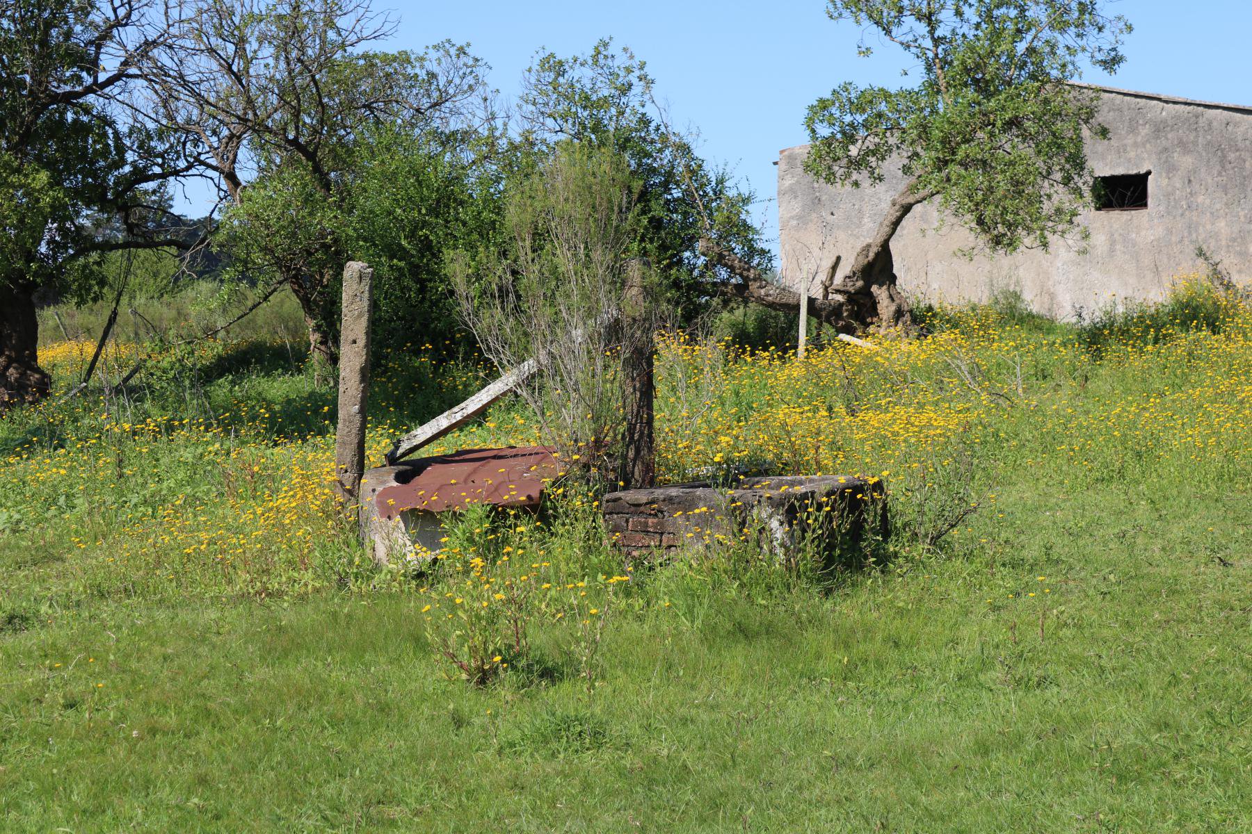  Large urban plot just steps from the city of Rocha. - 物件實景