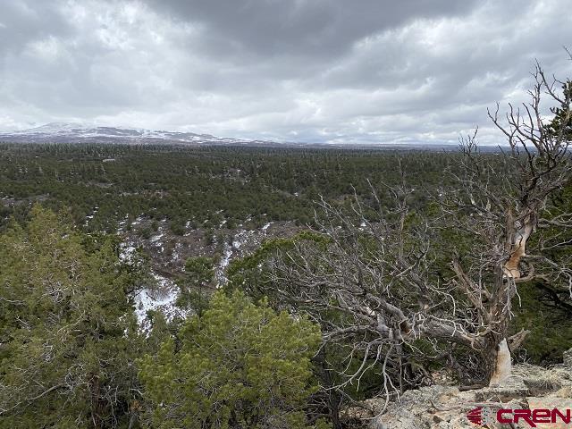 Montrose, Colorado, 81403, United States, ,Land,For Sale,1919926