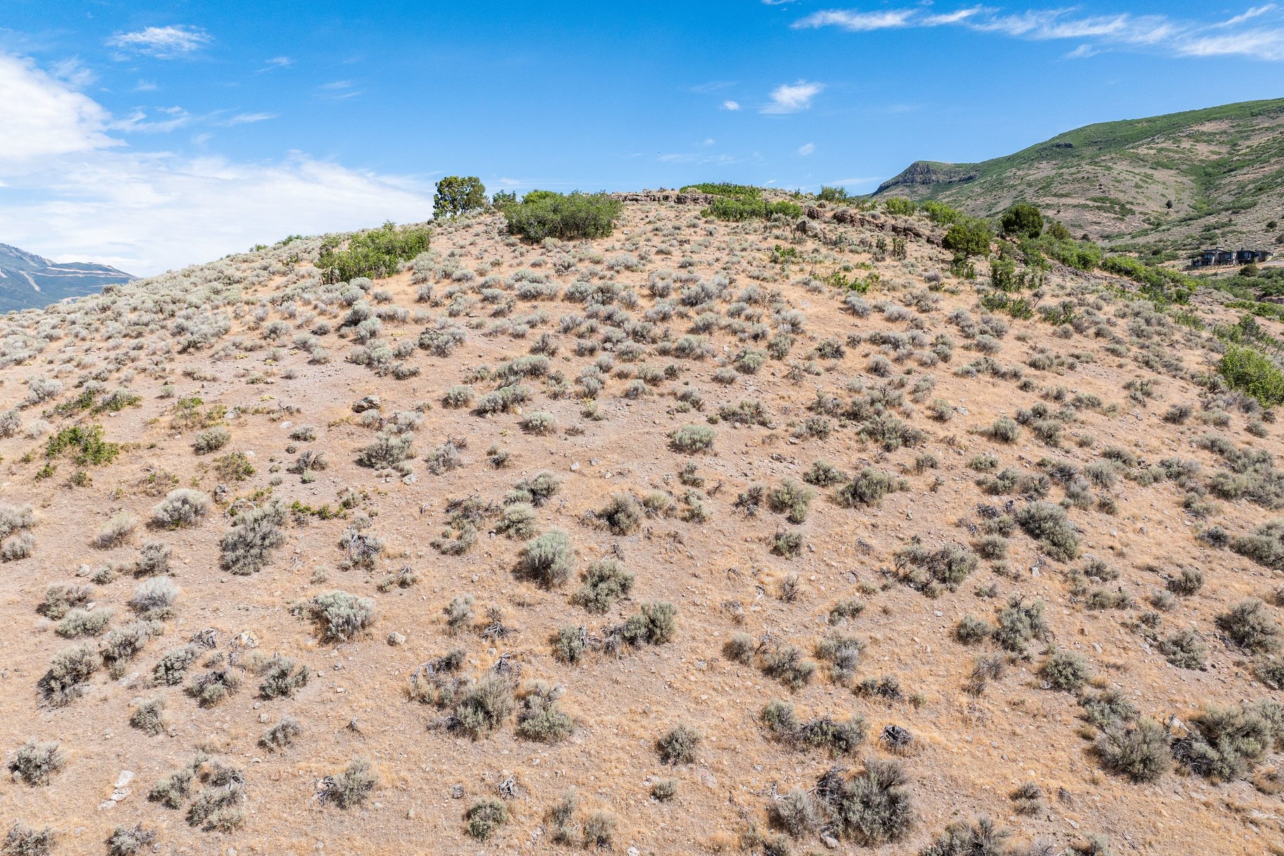  Premium Custom Lot with Views of the Heber Valley - 物件實景