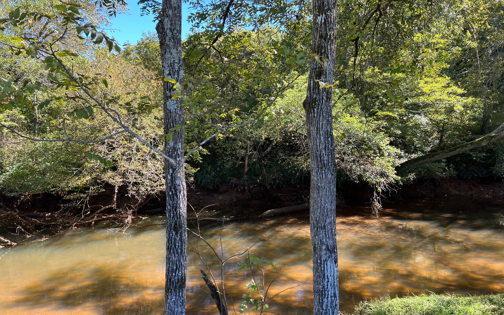 Hayesville, North Carolina, 28904, United States, ,Residential,For Sale,1943293