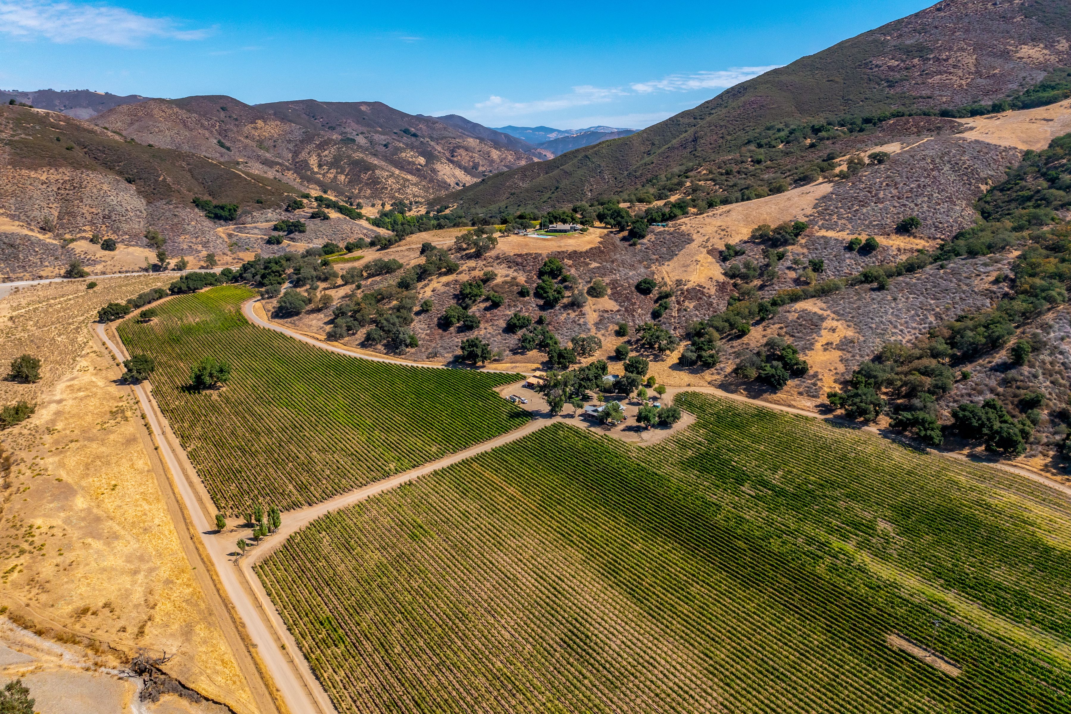  Extraordinary Vineyard Estate - 物件實景