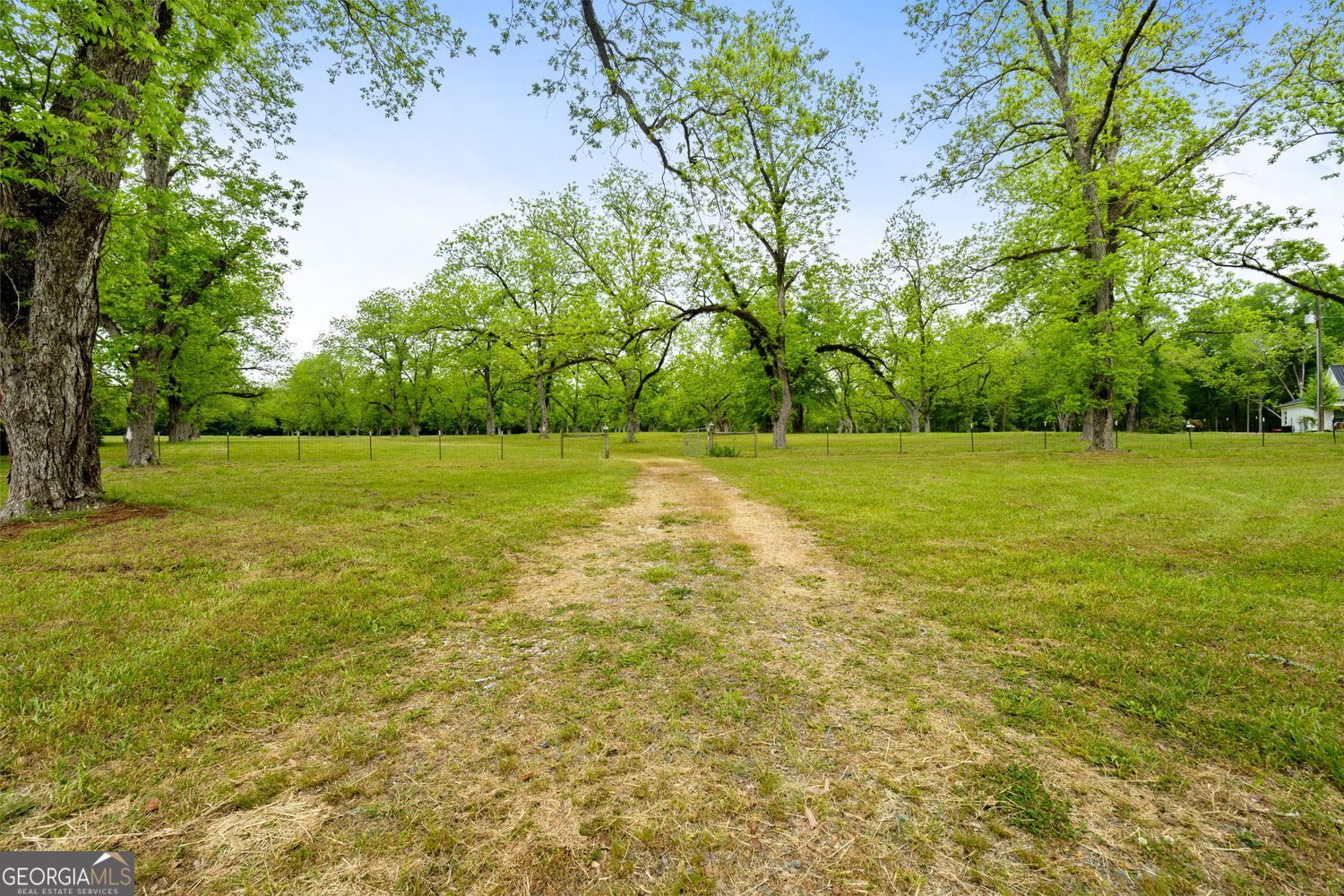 Milner, Georgia, 30257, United States, ,Land,For Sale,1859026