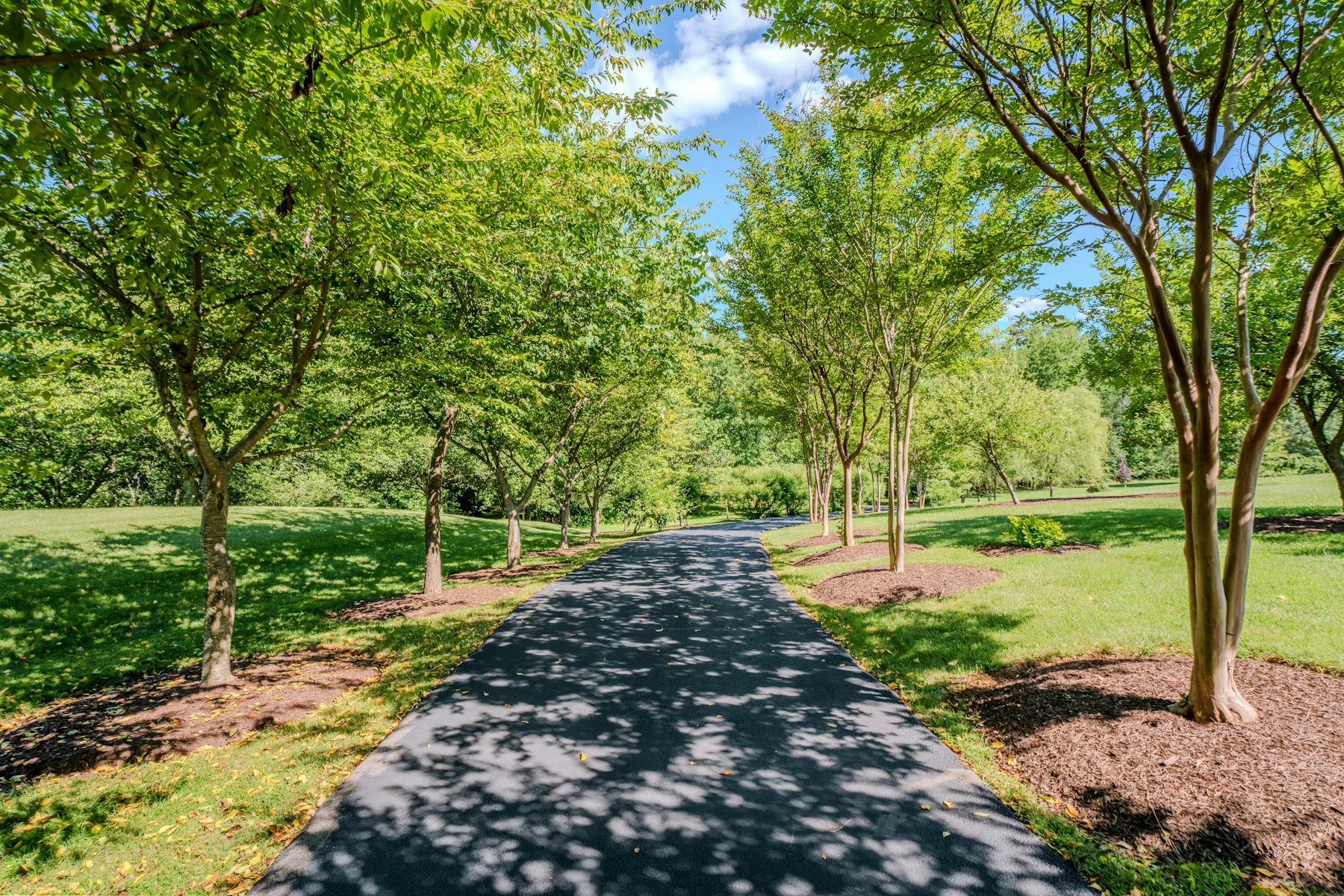  3509 Mill Creek Road, Haymarket, VA, 20169 - 物件實景