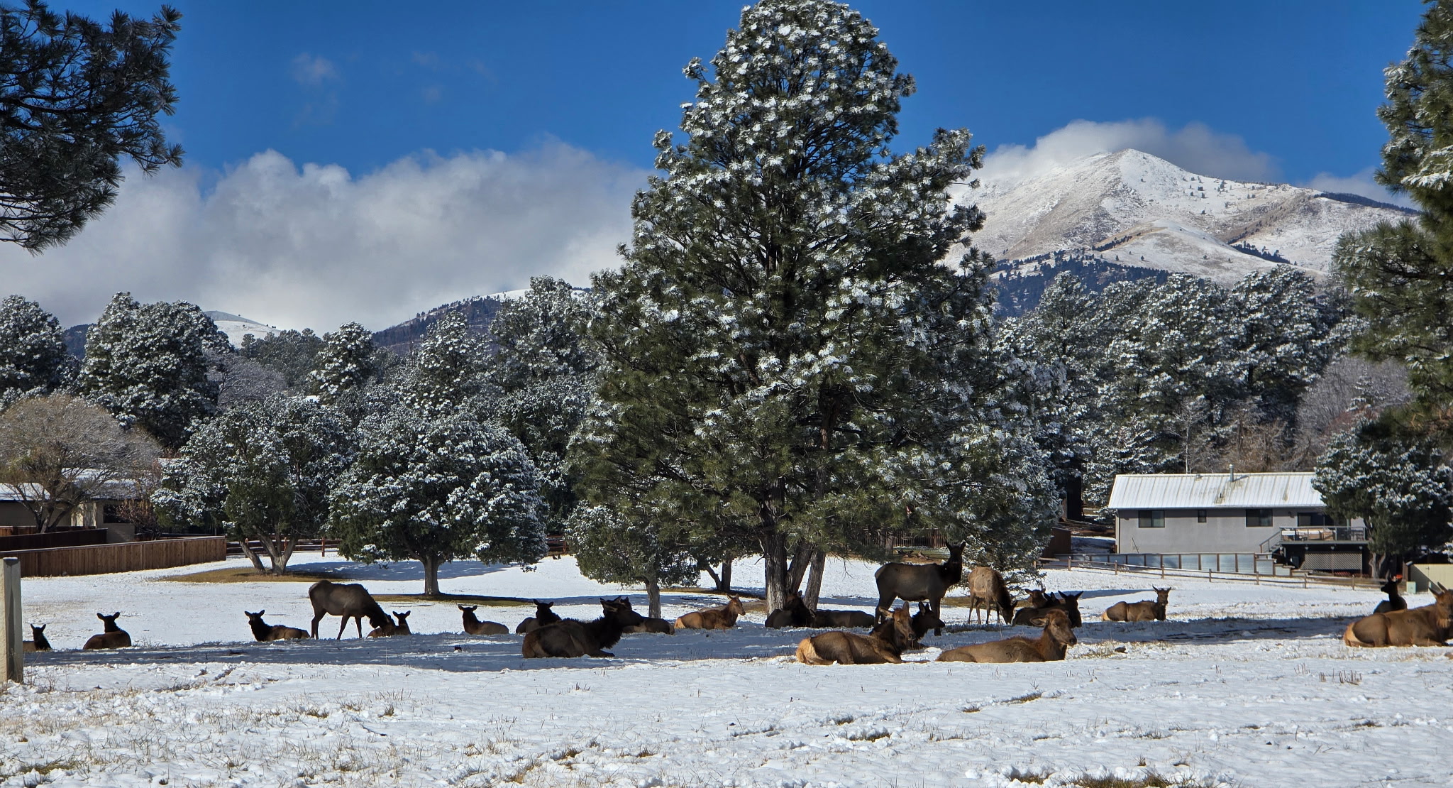 Ruidoso, New Mexico, 88345, United States, 3 Bedrooms Bedrooms, ,2 BathroomsBathrooms,Residential,For Sale,1998115