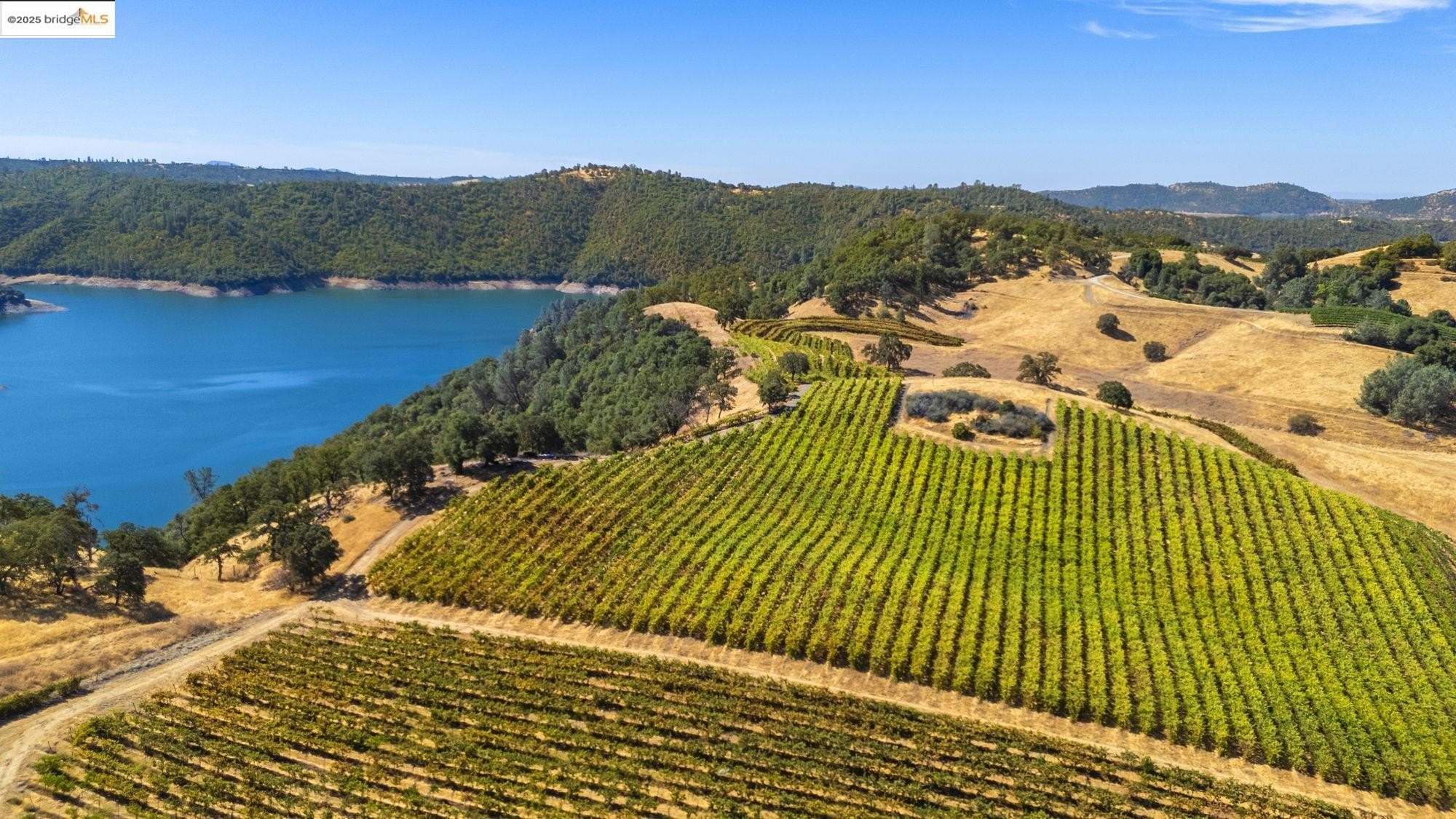 Murphys, California, 95247, United States, ,Land,For Sale,1975931