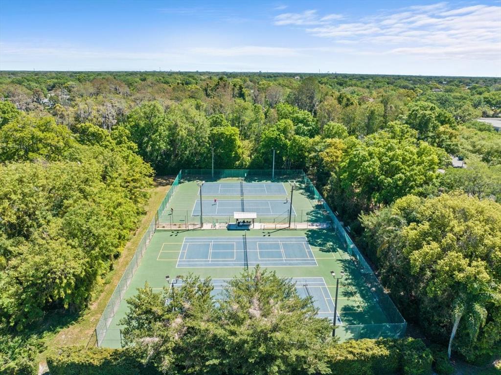 Tampa, Florida, 33618, United States, 4 Bedrooms Bedrooms, ,2 BathroomsBathrooms,Residential,For Sale,1966497