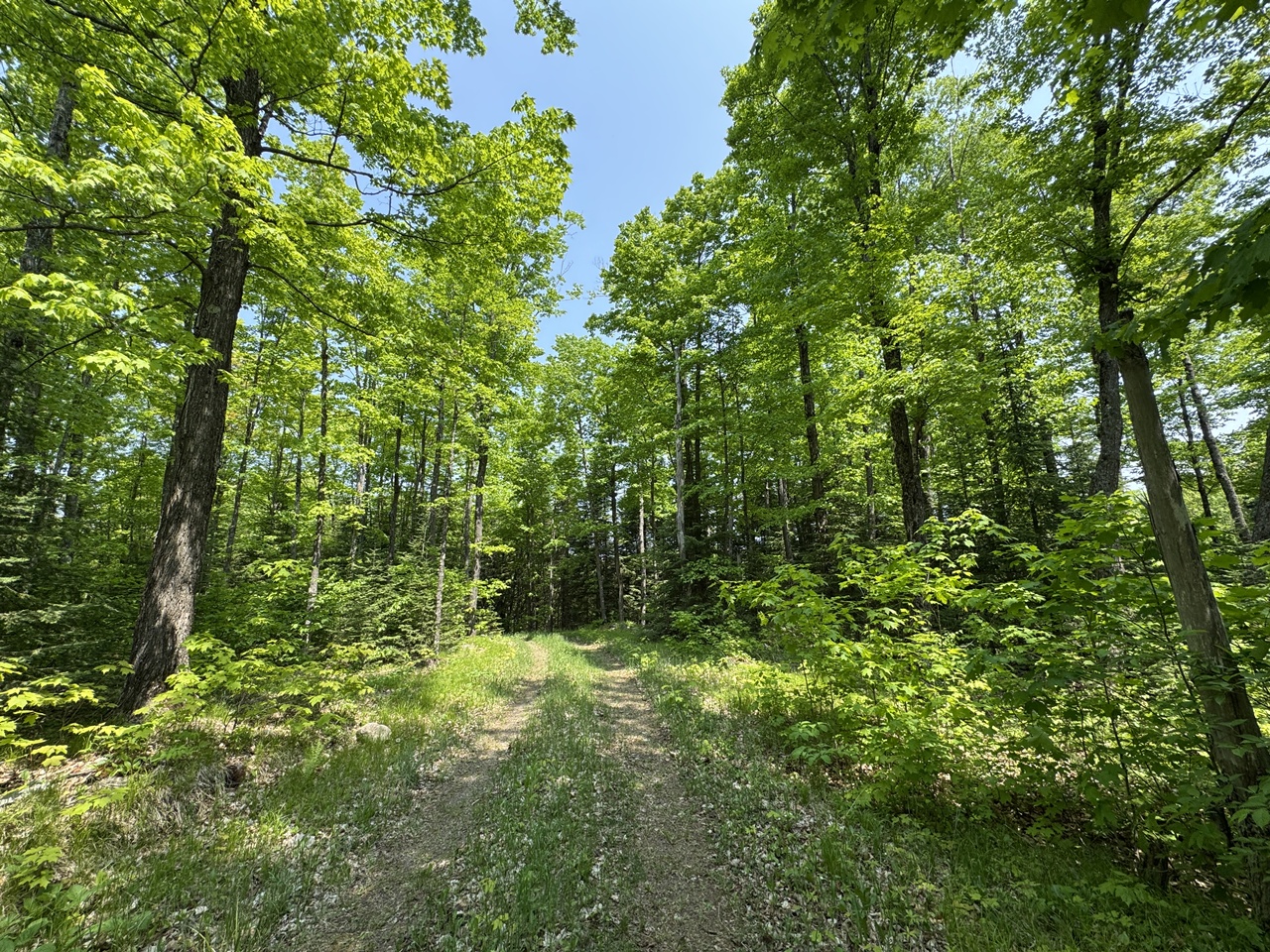 Oma, Wisconsin, 54534, United States, ,Residential,For Sale,1920346