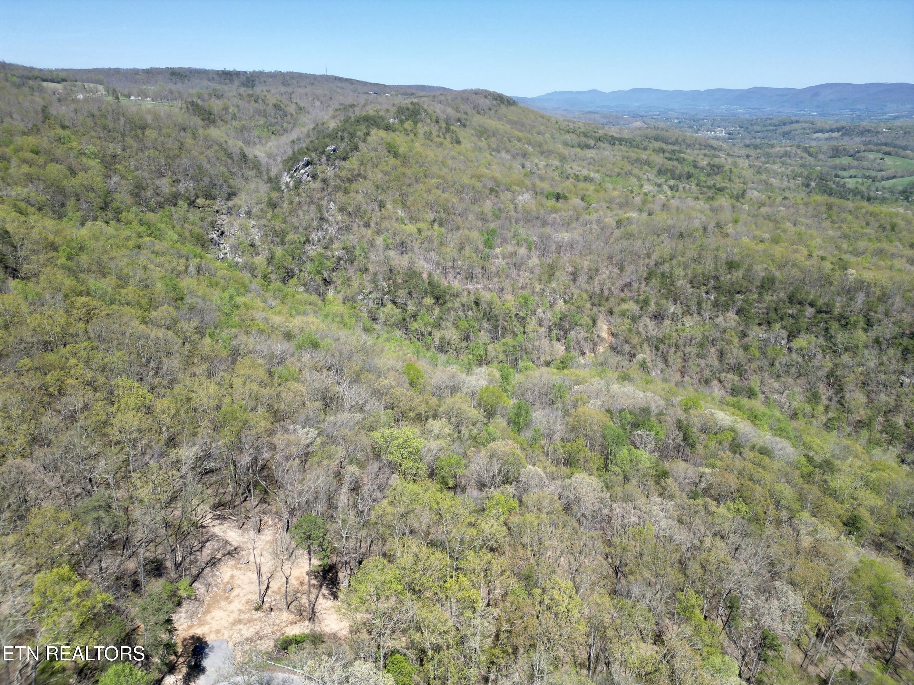 Pikeville, Tennessee, 37367, United States, ,Land,For Sale,2005286