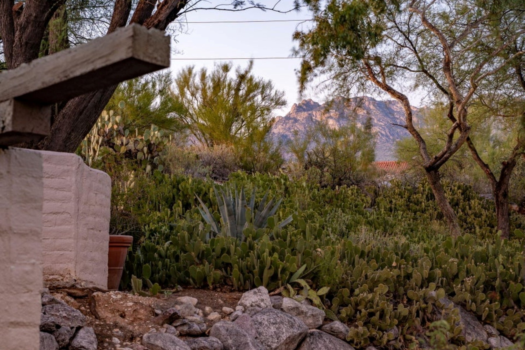  5406 N Camino de las Brisas¦Tucson, AZ - 物件實景