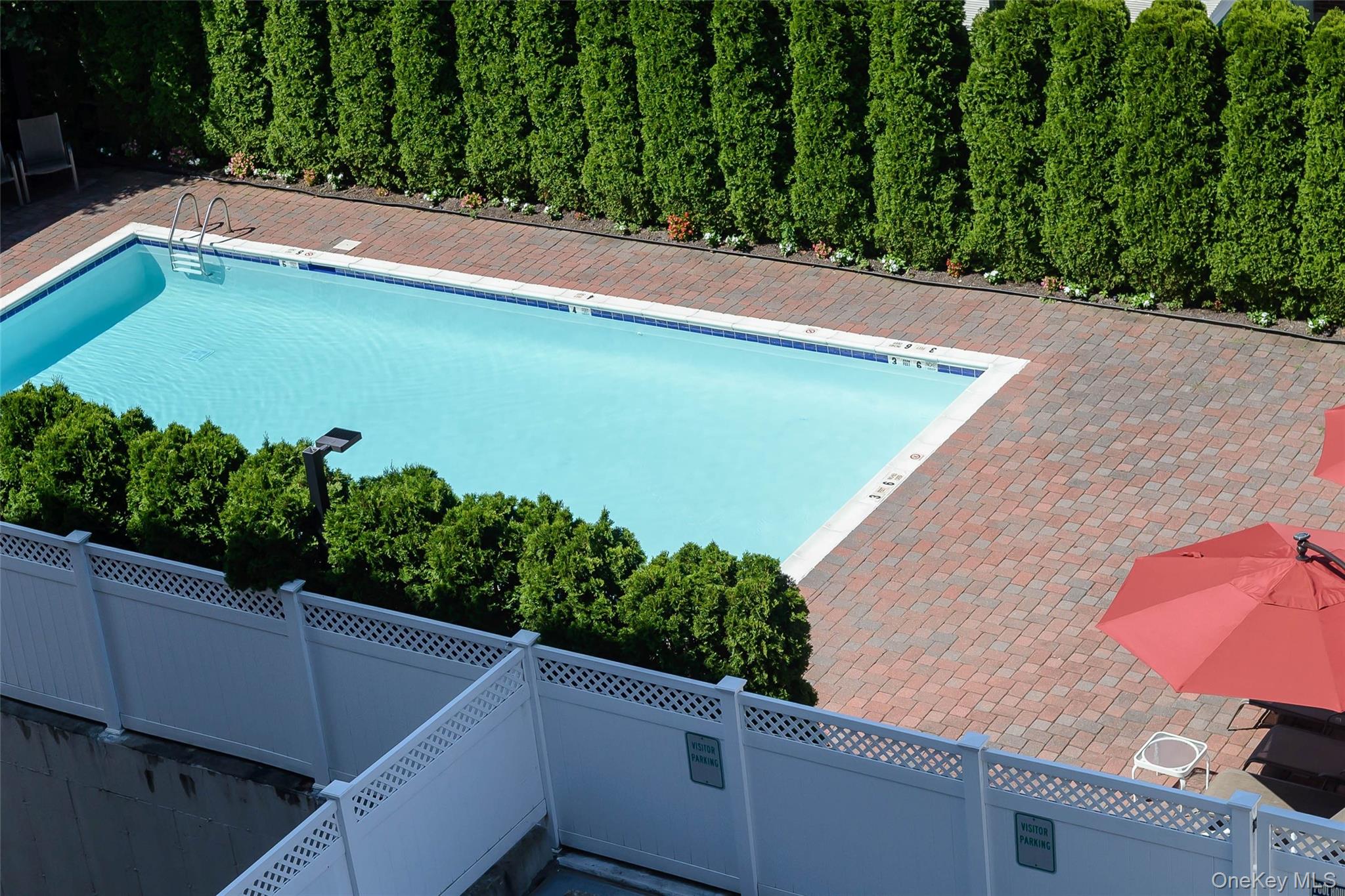 242 Maple Avenue, Westbury, NY, 11590 - 物件實景