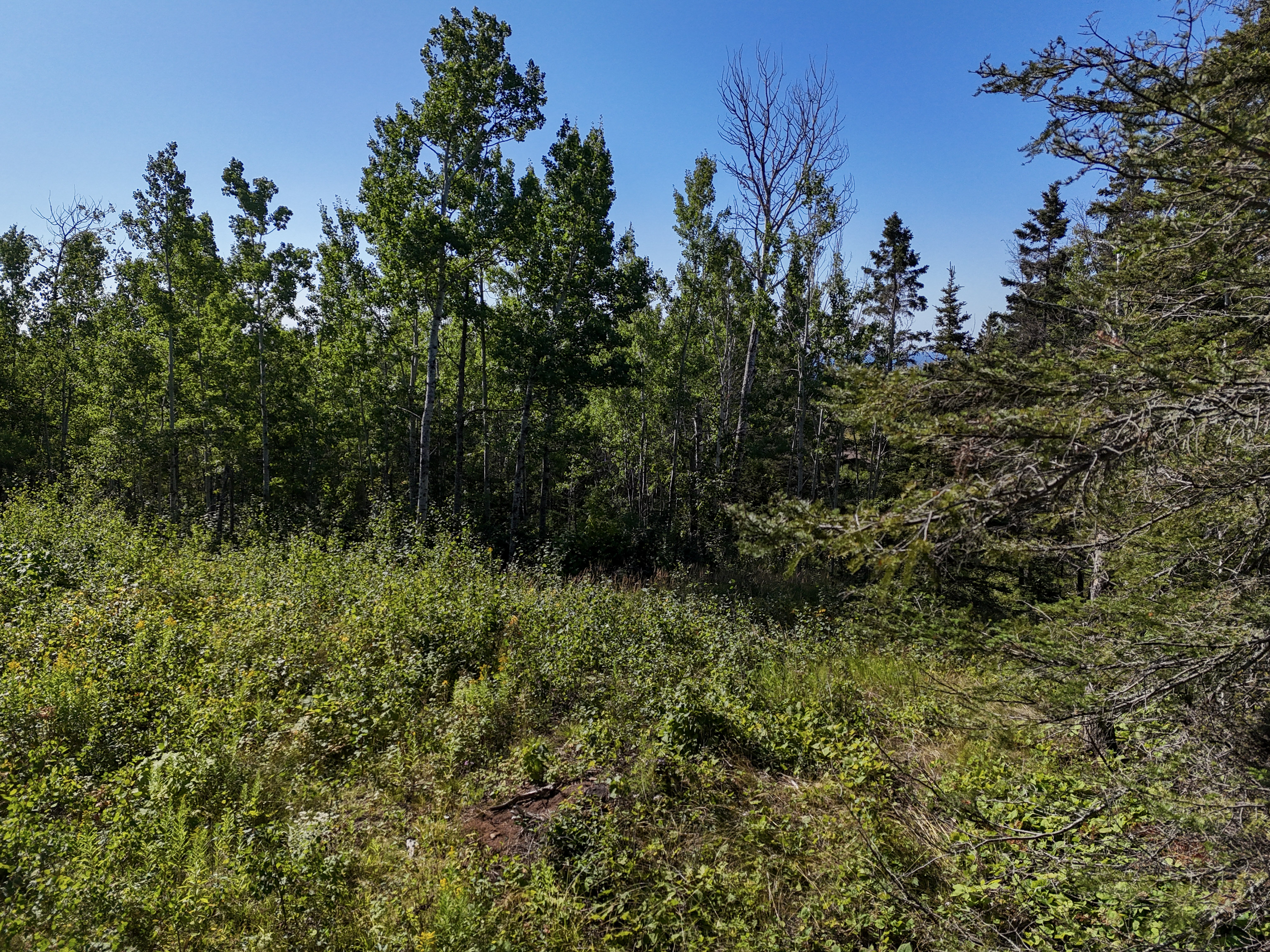  A Rare North Shore Homesite Near Grand Marais - 物件實景
