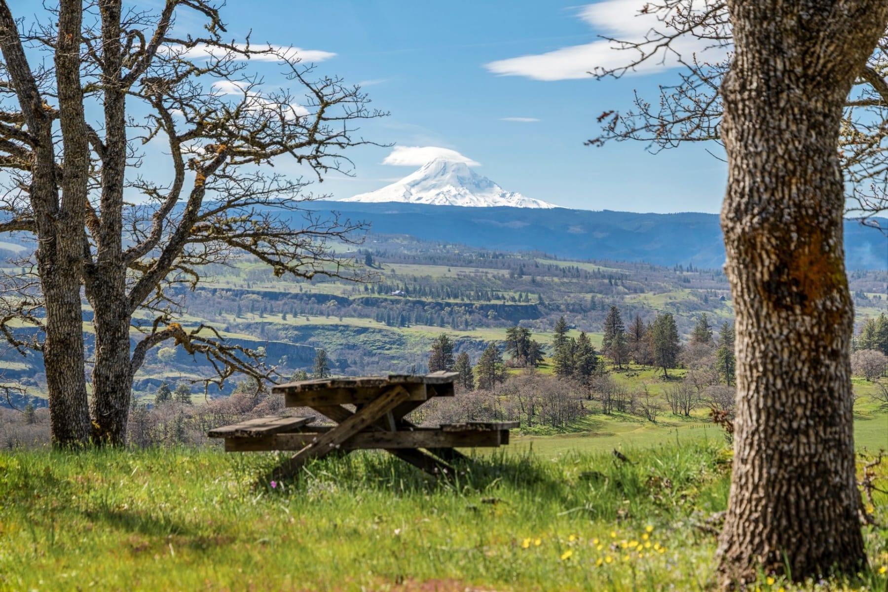 10 CANYON RD Lyle, WA 98635 - 物件實景