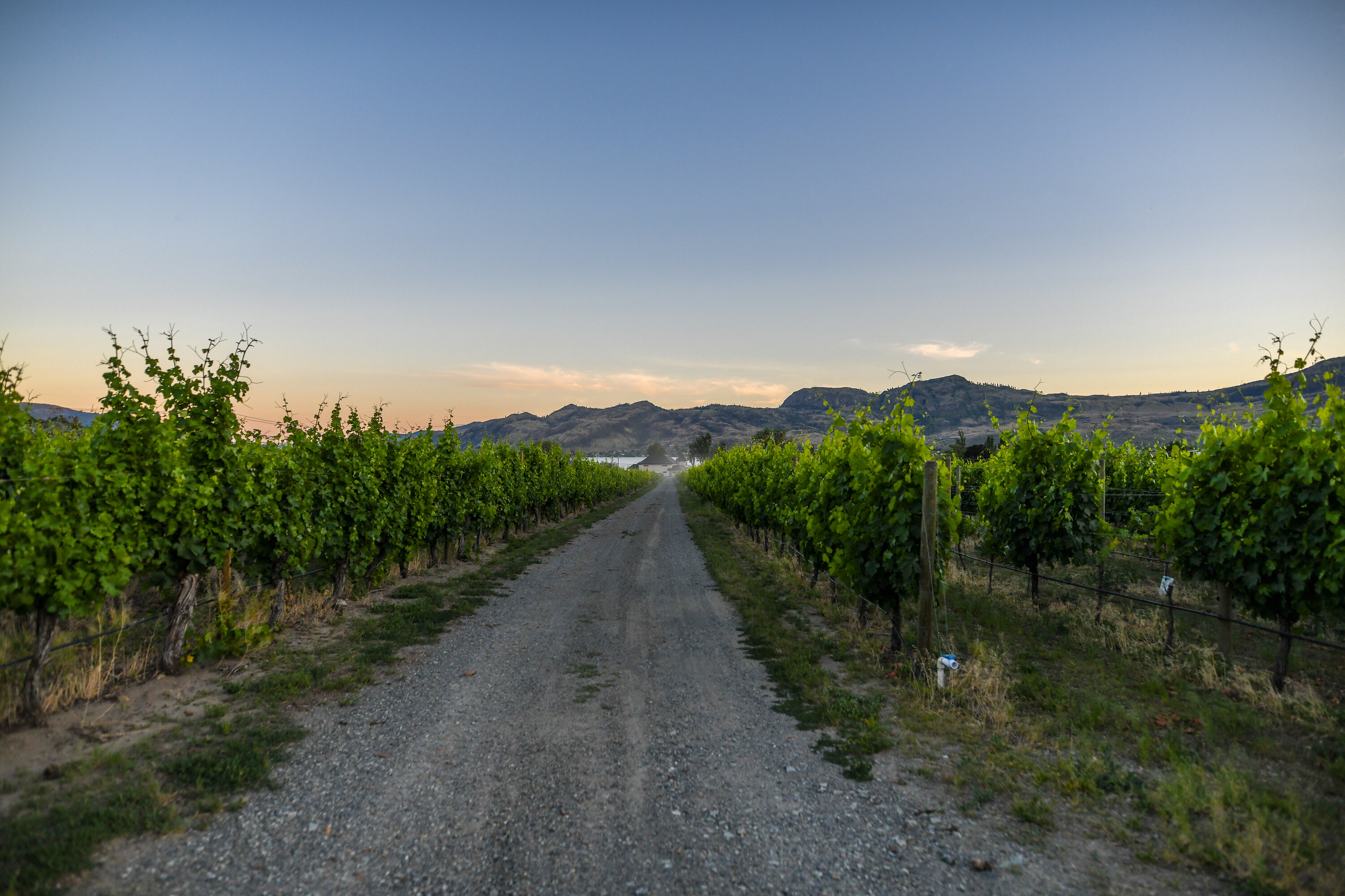  Lakefront Winery Receivership - 物件實景