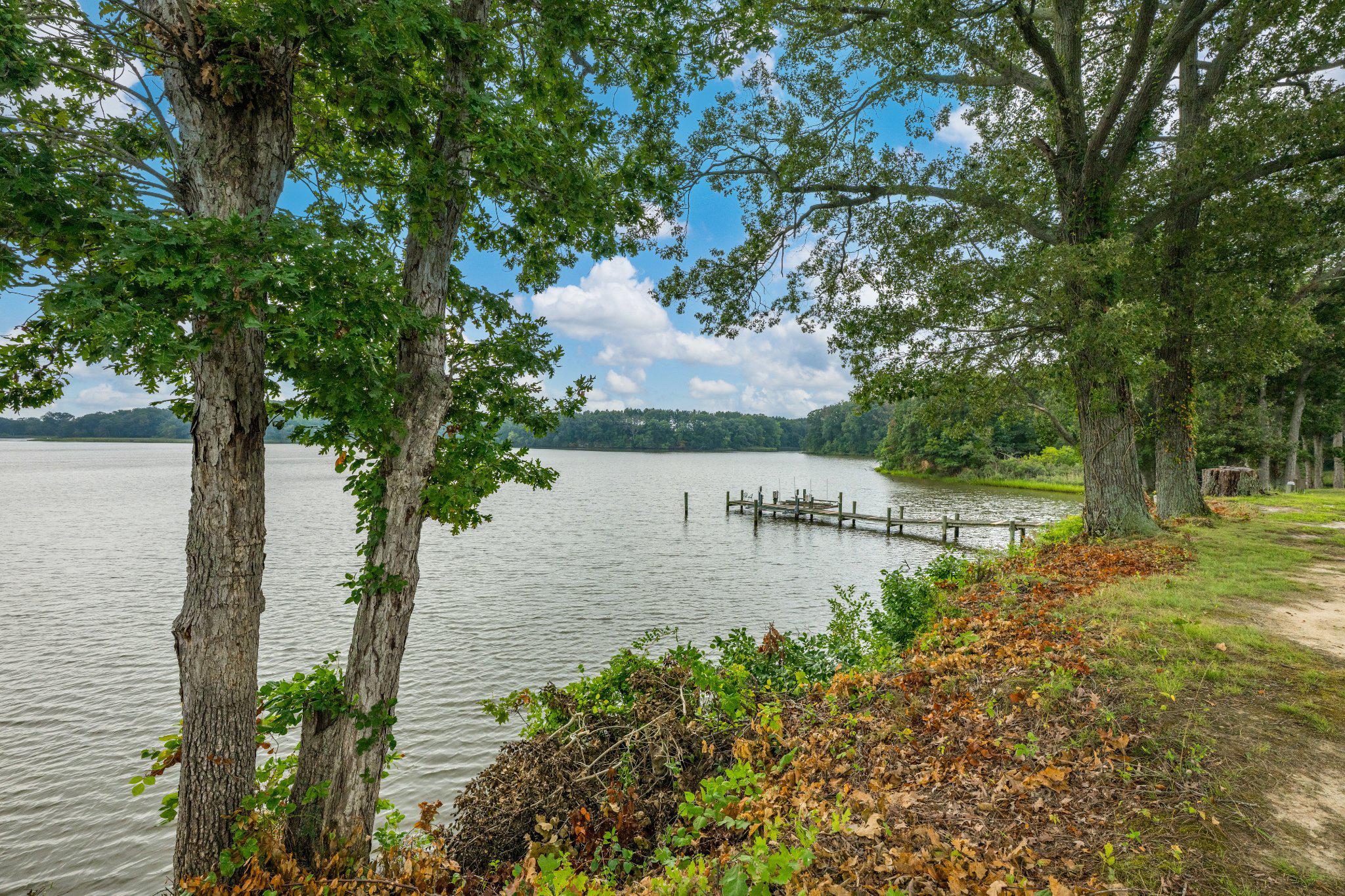  491 Wye Island Road, Queenstown, MD, 21658 - 物件實景