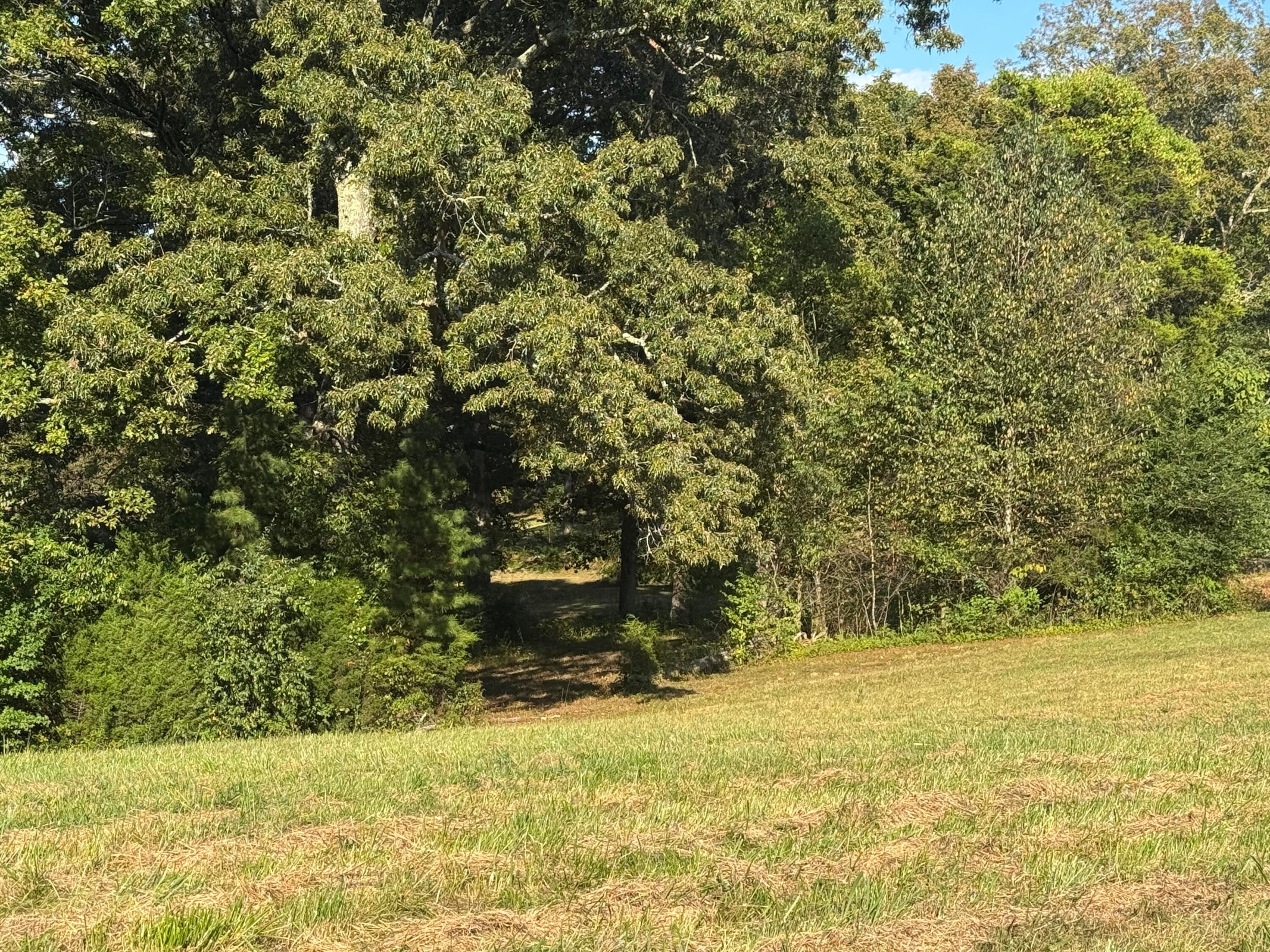 Dunlap, Tennessee, 37327, United States, 3 Bedrooms Bedrooms, ,1 BathroomBathrooms,Residential,For Sale,1980743