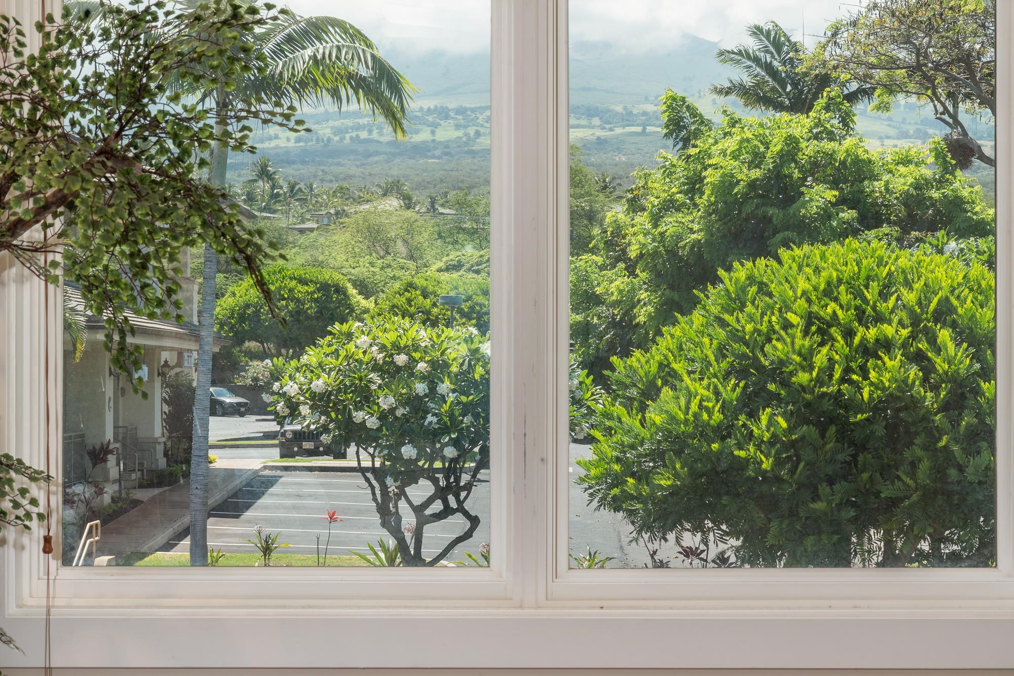 Kihei, Hawaii, 96753, United States, 2 Bedrooms Bedrooms, ,2 BathroomsBathrooms,Residential,For Sale,1828324