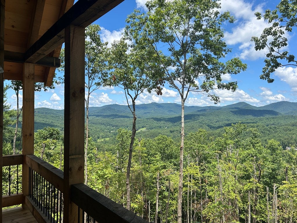 Mineral Bluff, Georgia, 30559, United States, 4 Bedrooms Bedrooms, ,4 BathroomsBathrooms,Residential,For Sale,1871299