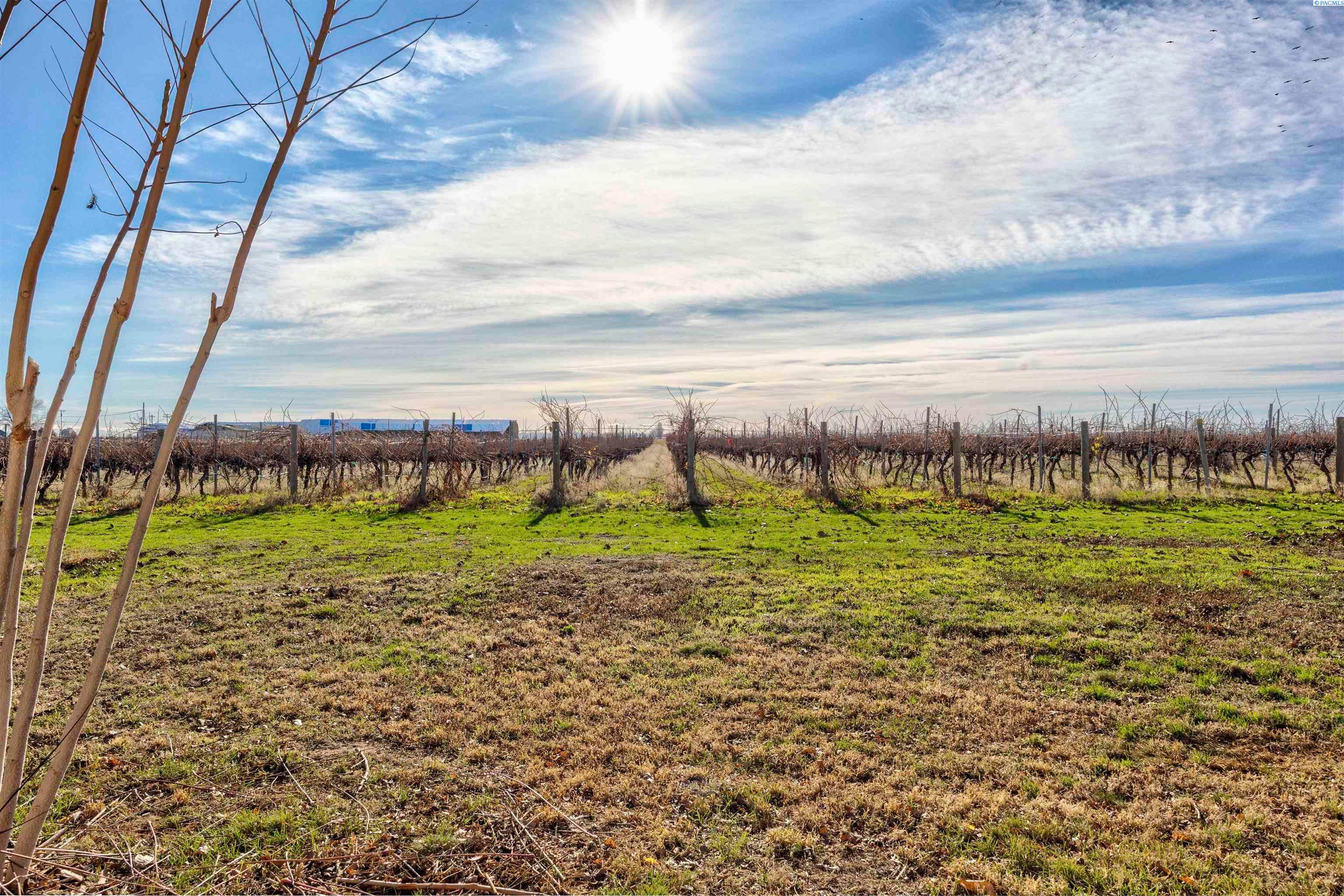 Pasco, Washington, 99301, United States, 2 Bedrooms Bedrooms, ,1 BathroomBathrooms,Residential,For Sale,1997990