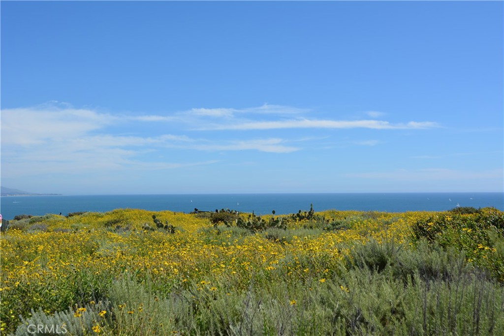 Dana Point, California, 92629, United States, ,Residential,For Sale,1924804