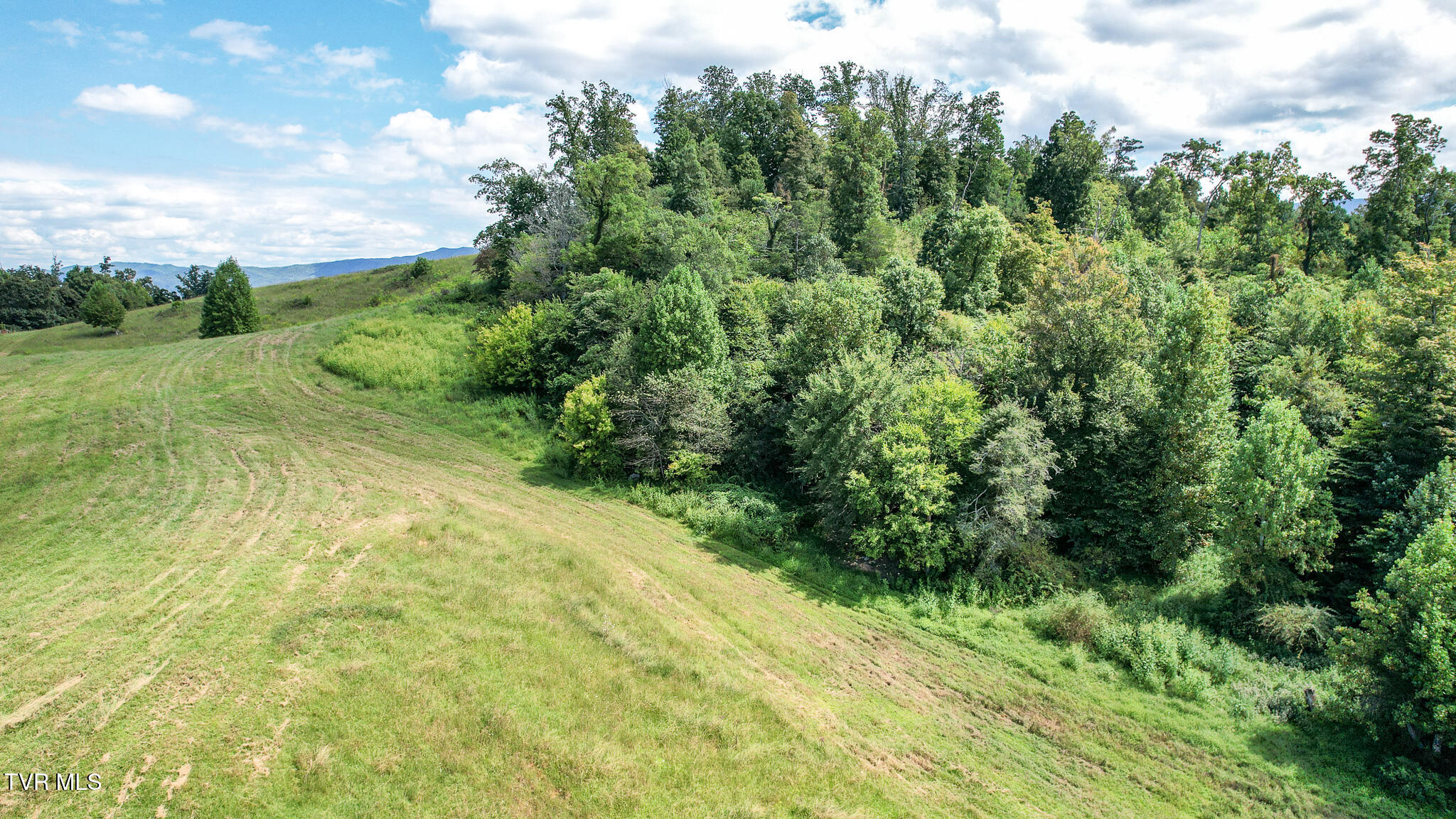 Chuckey, Tennessee, 37641, United States, ,Land,For Sale,1982630