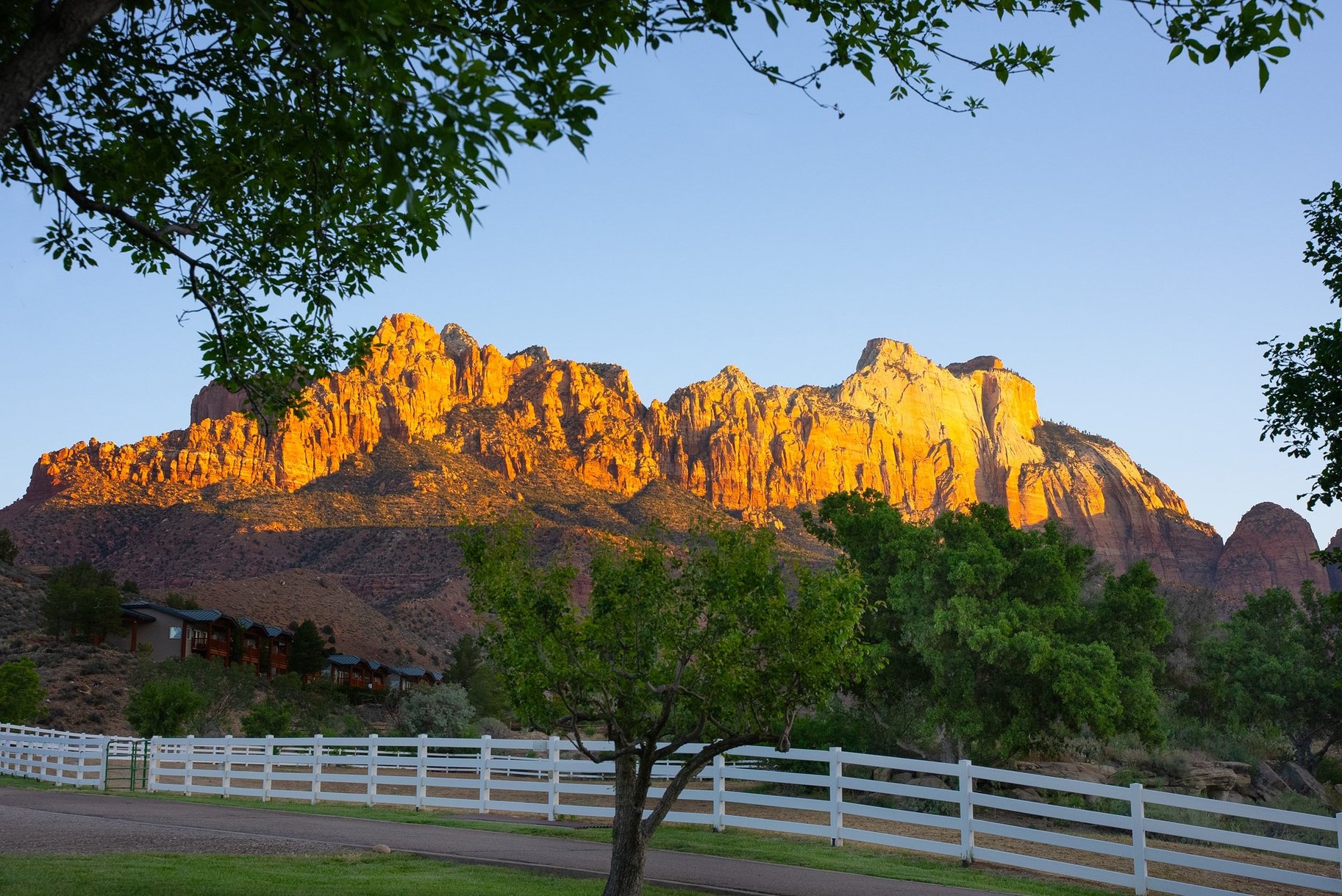  15 Acres of the Legendary Trees Ranch - 物件實景