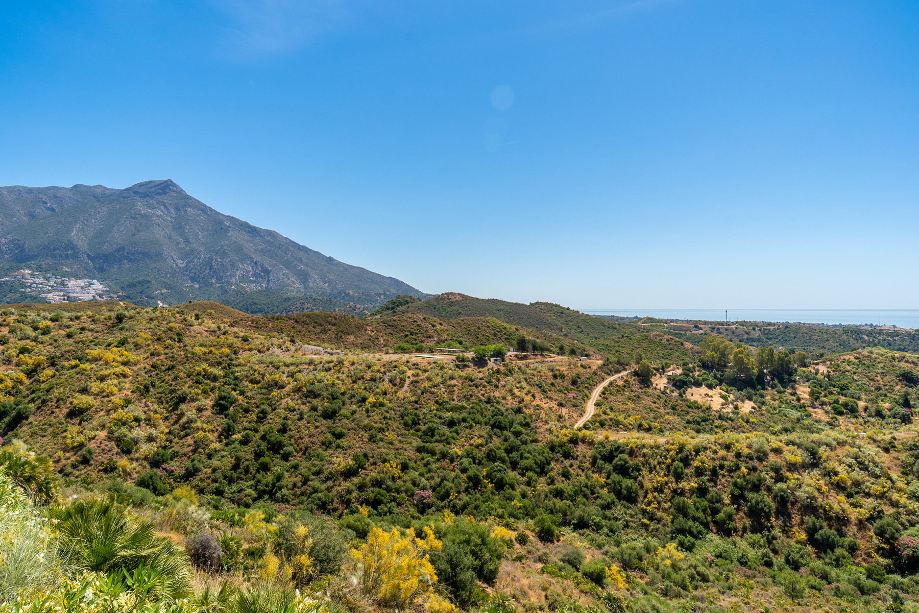  Exceptional development opportunity in El Real de La Quinta - 物件實景