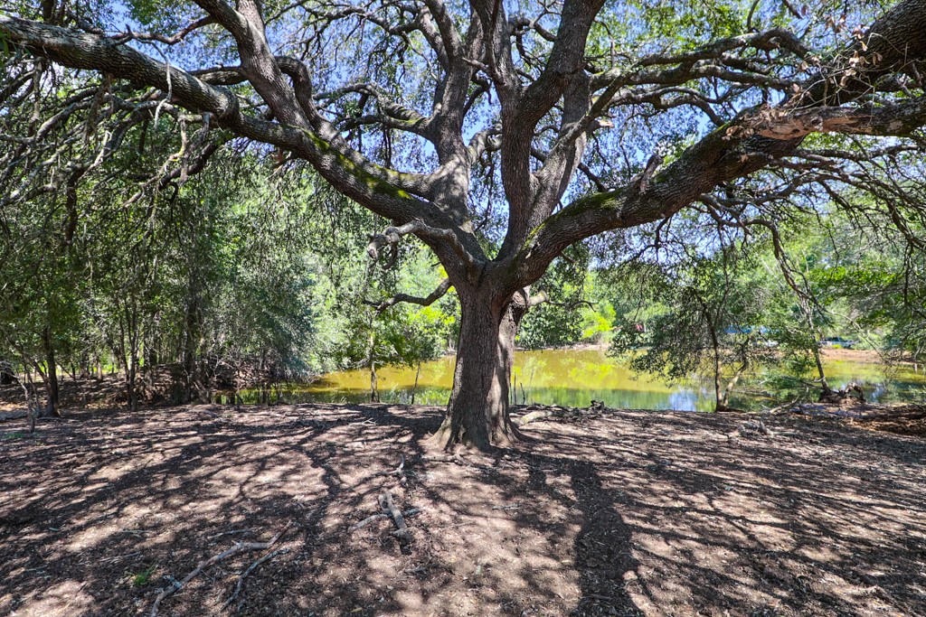 Lexington, Texas, 78947, United States, 4 Bedrooms Bedrooms, ,3 BathroomsBathrooms,Residential,For Sale,2002200