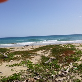 Sabaneta, DO, ,Land,For Sale,1617326