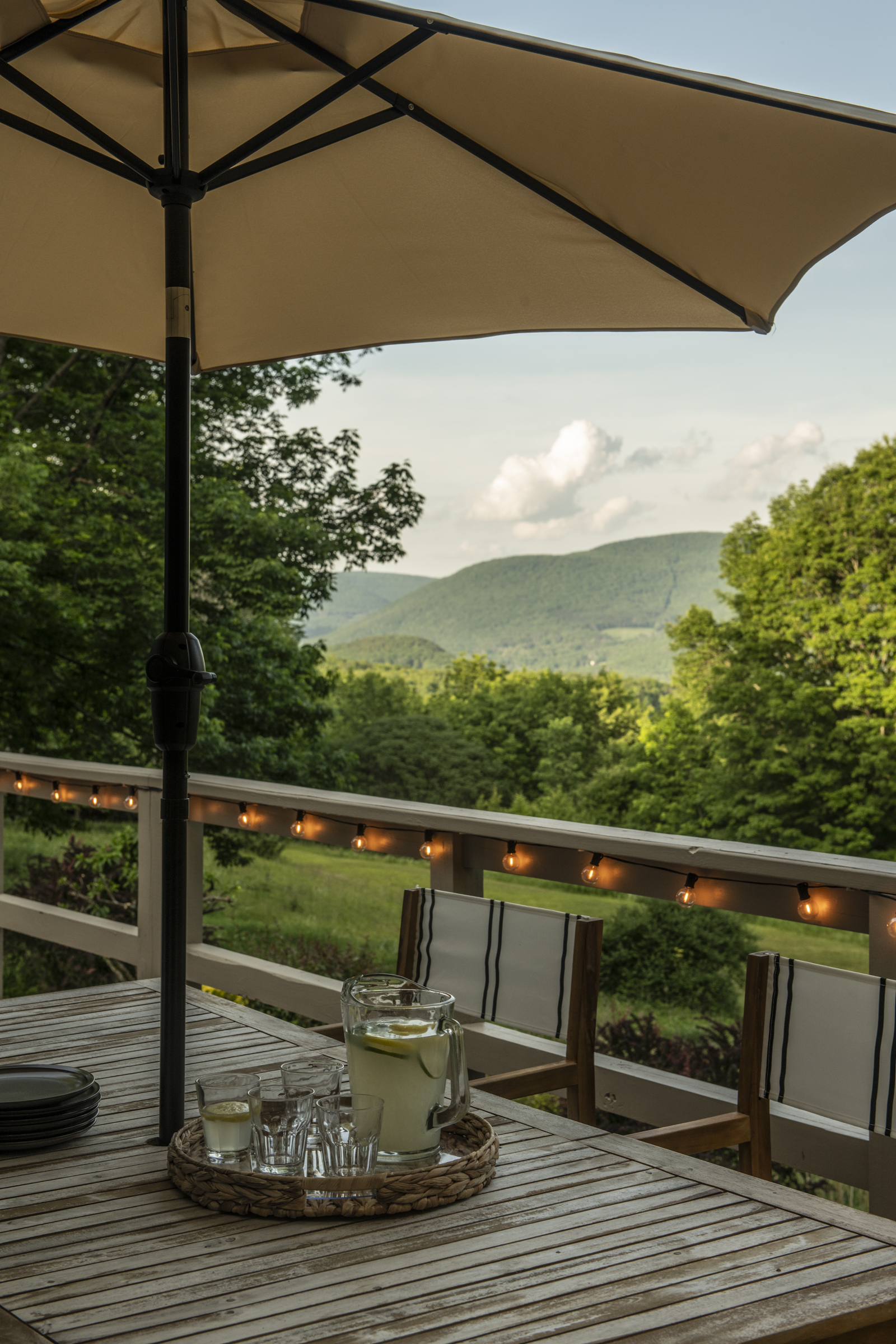  3026 New Kingston Mountain Road, Roxbury, NY 12474 - 物件實景