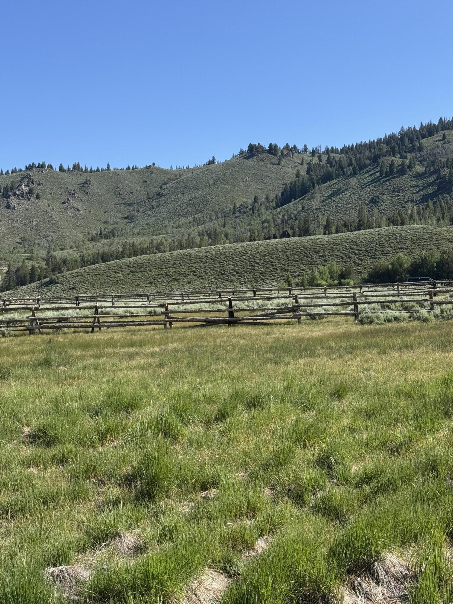 Stanley, Idaho, 83278, United States, ,Land,For Sale,1901484