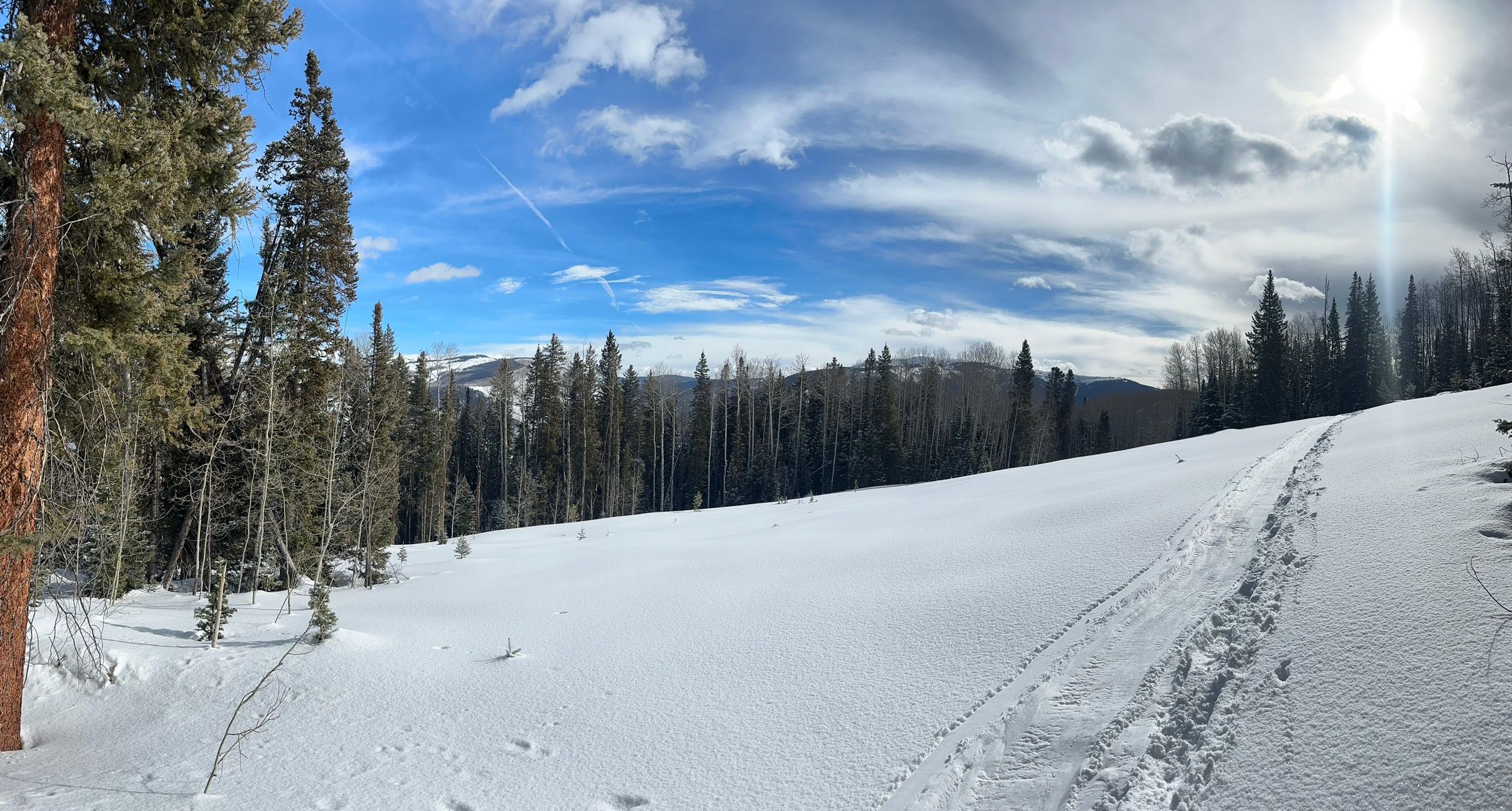  141 White Buffalo Trail, Crested Butte, CO, 81224 - 物件實景