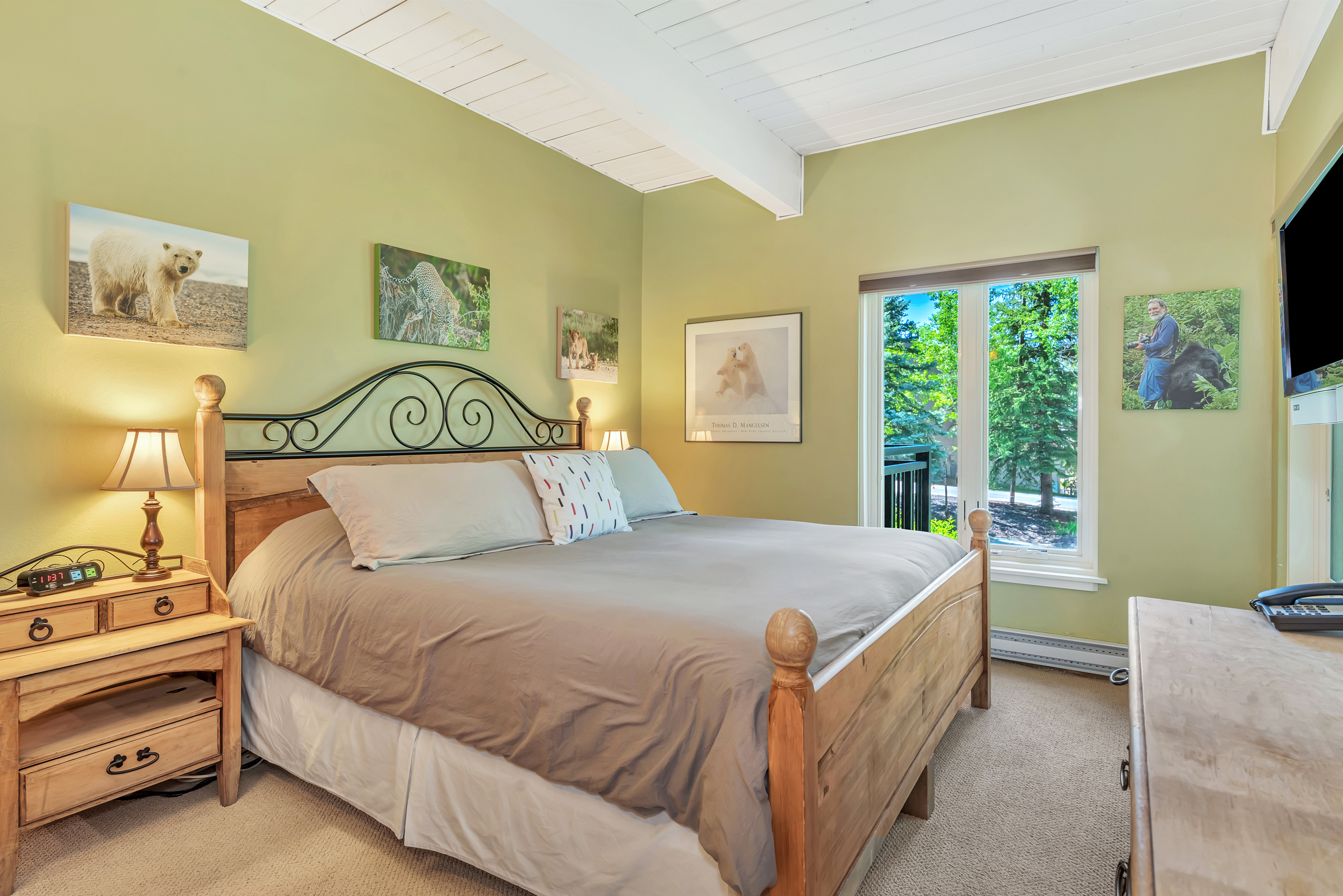  2322 Apres Ski Way, Steamboat Springs, CO, 80487 - 物件實景