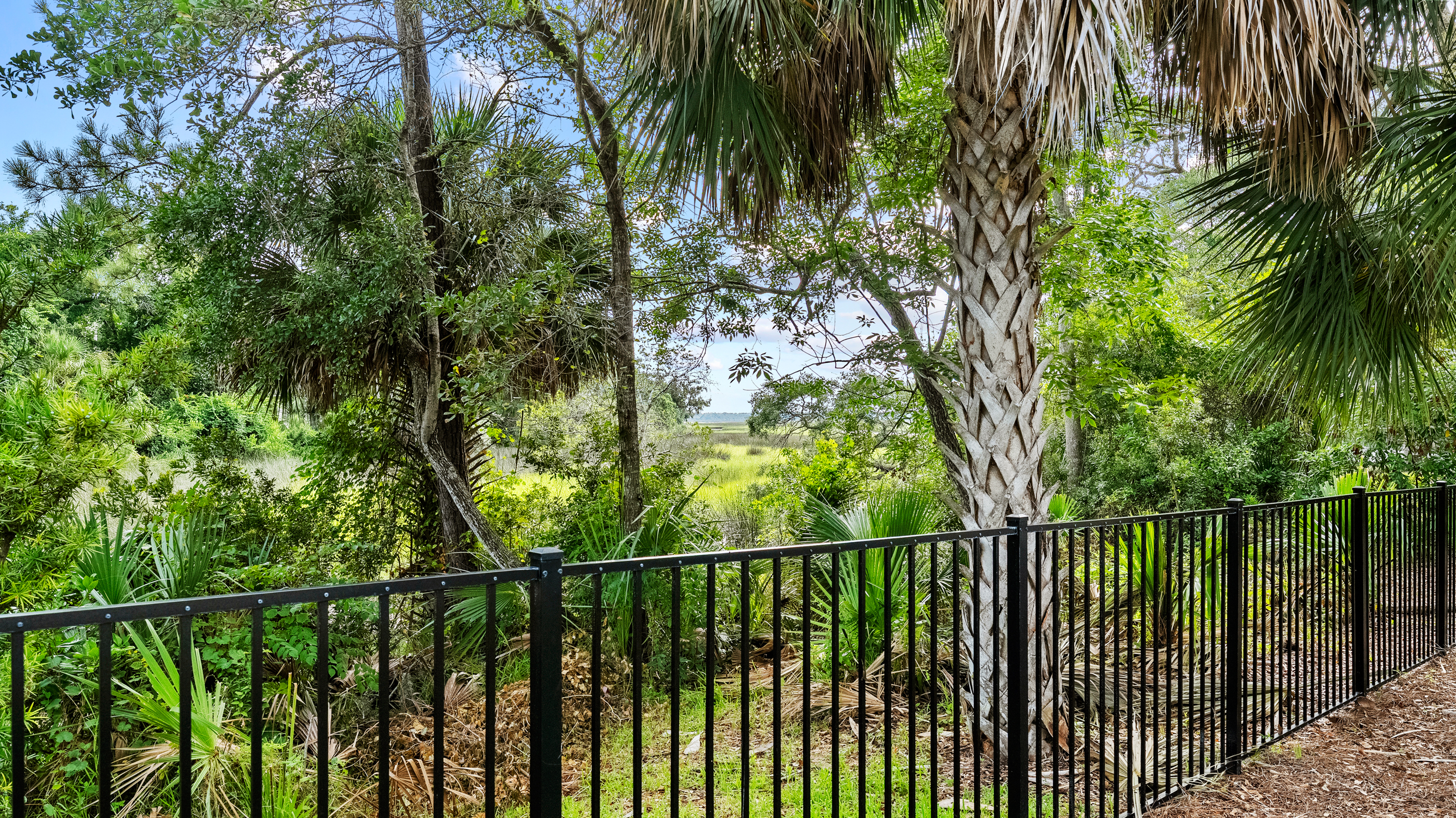  1372 Windsor Harbor Drive, Jacksonville, FL, 32225 - 物件實景