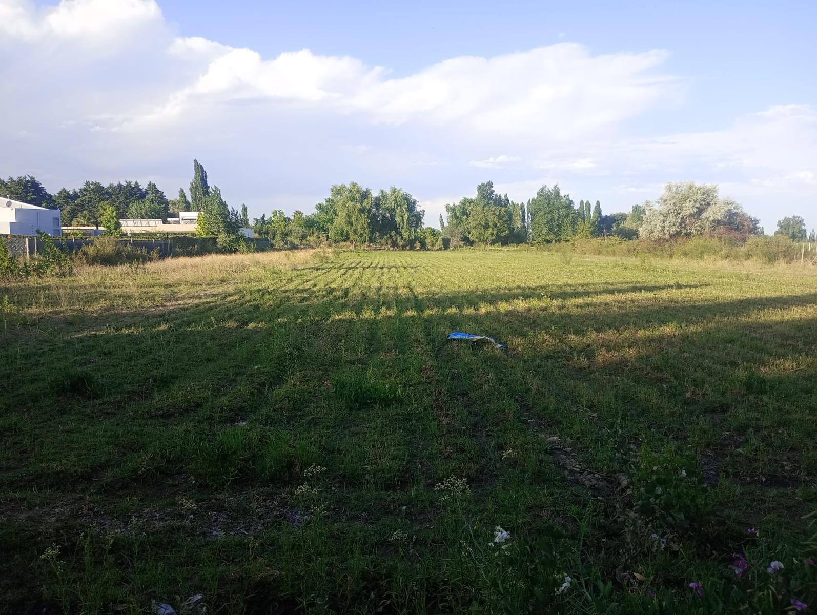 Lujan De Cuyo, AR-M, AR, ,Land,For Sale,1819994