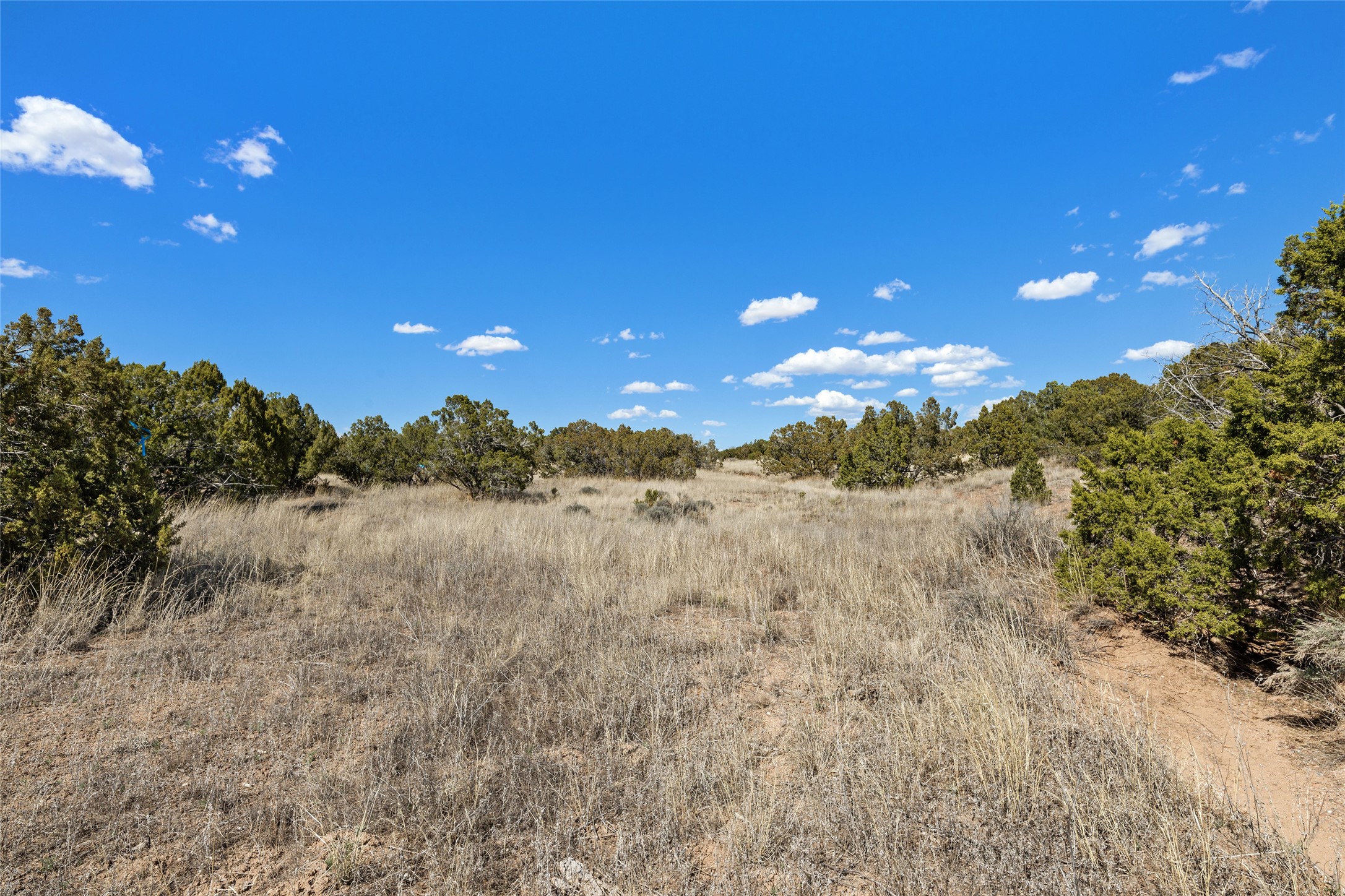  31 Calle Ventoso East, Lot 782 - 物件實景