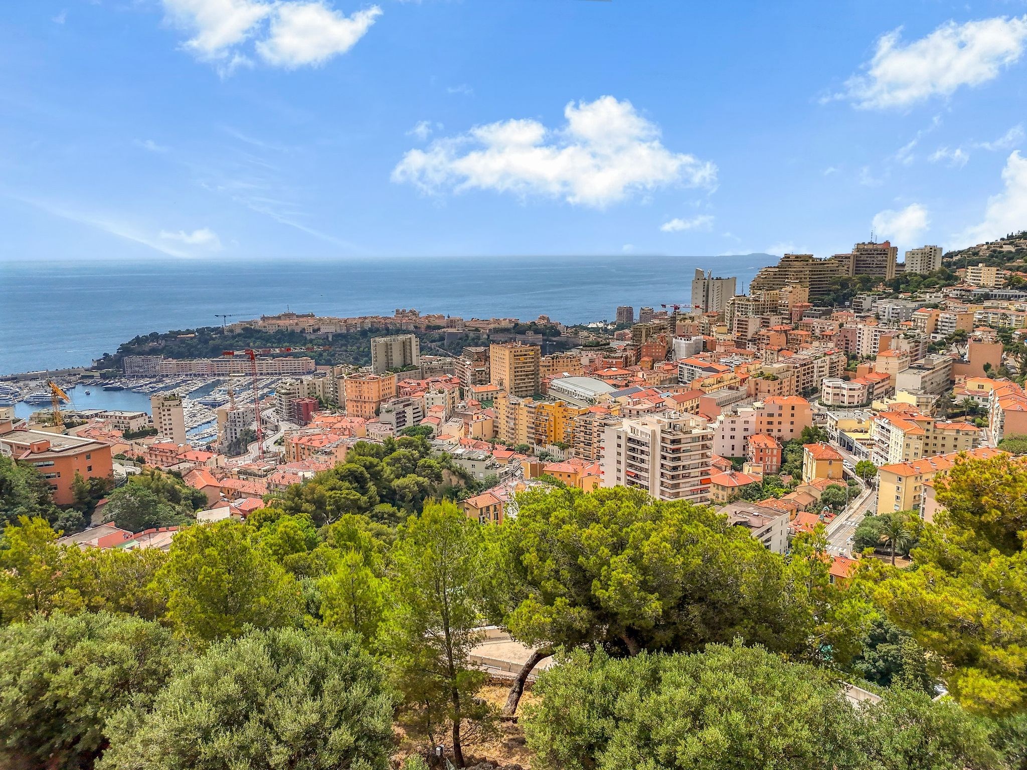  Beausoleil luxury villa project with sea and Monaco views for sale - 物件實景